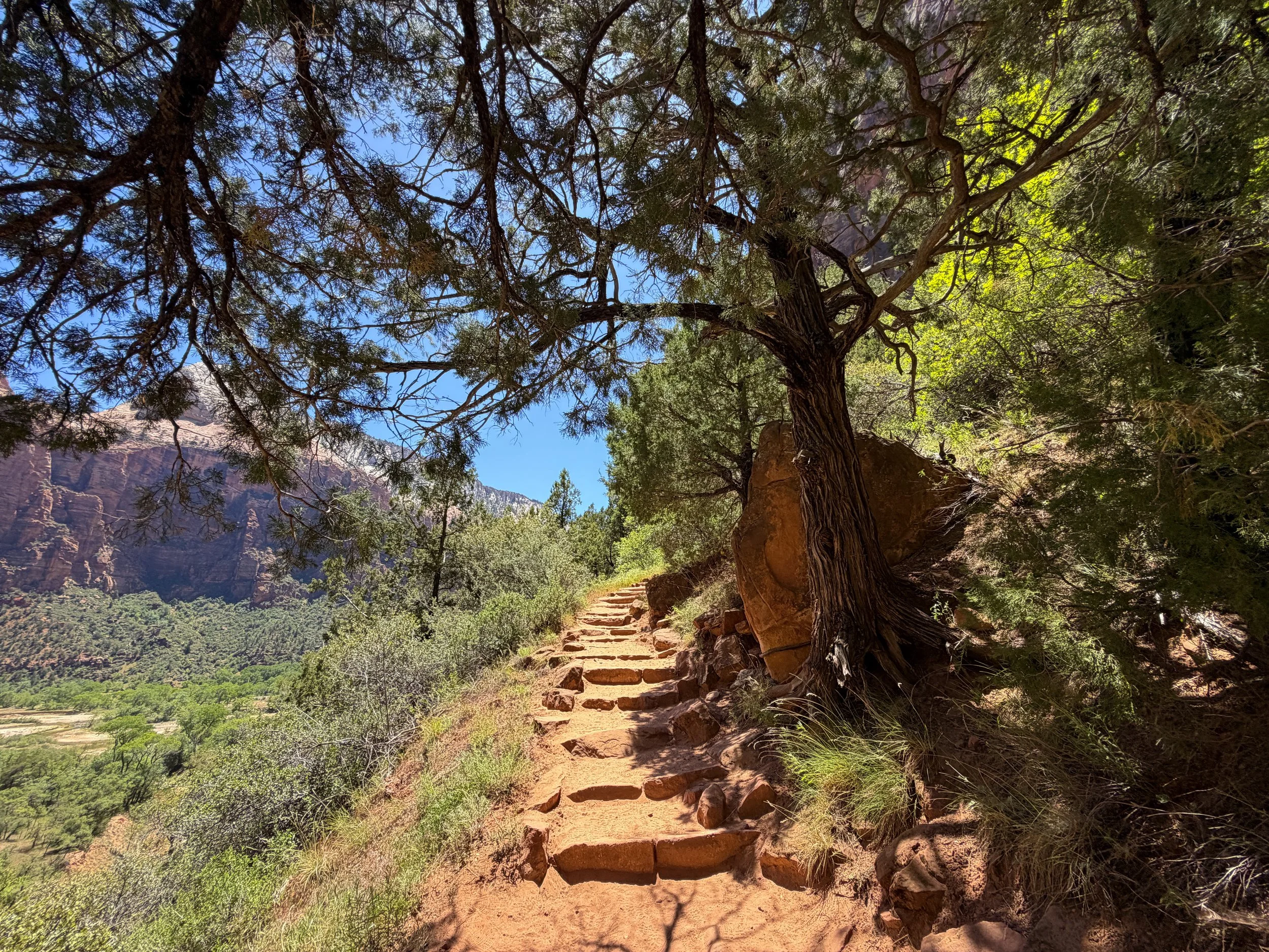 Emerald Pools Trail Zion National Park Utah
