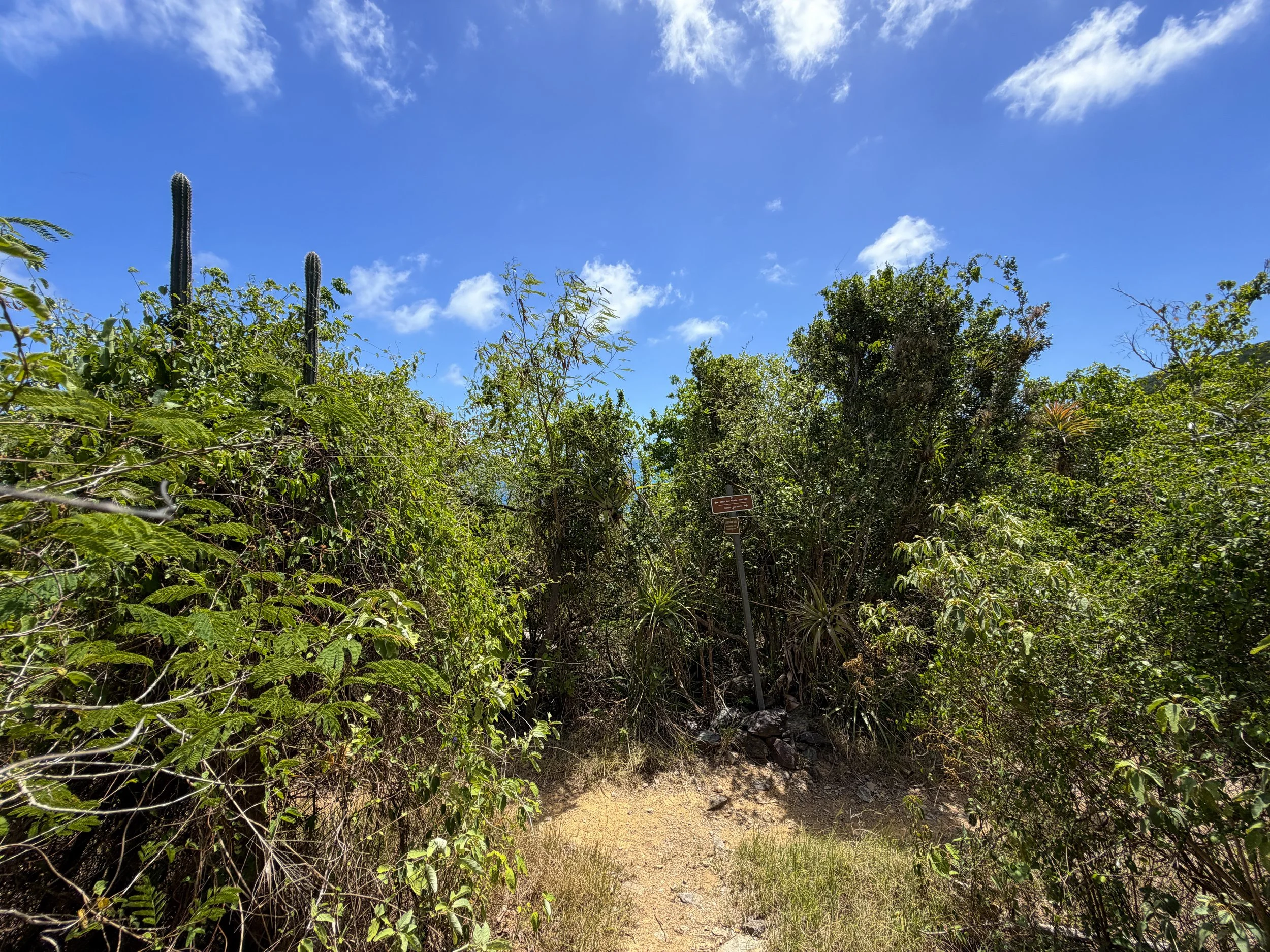 L'Esperance Trail Virgin Islands National Park