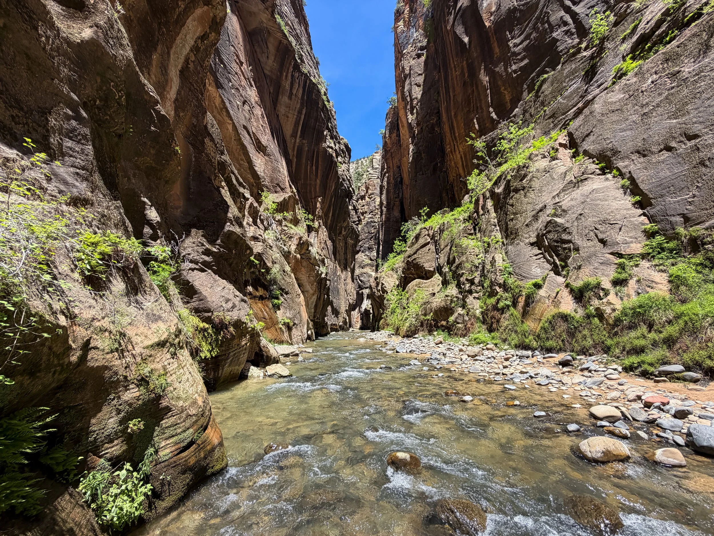 The Narrows Zion National Park Utah