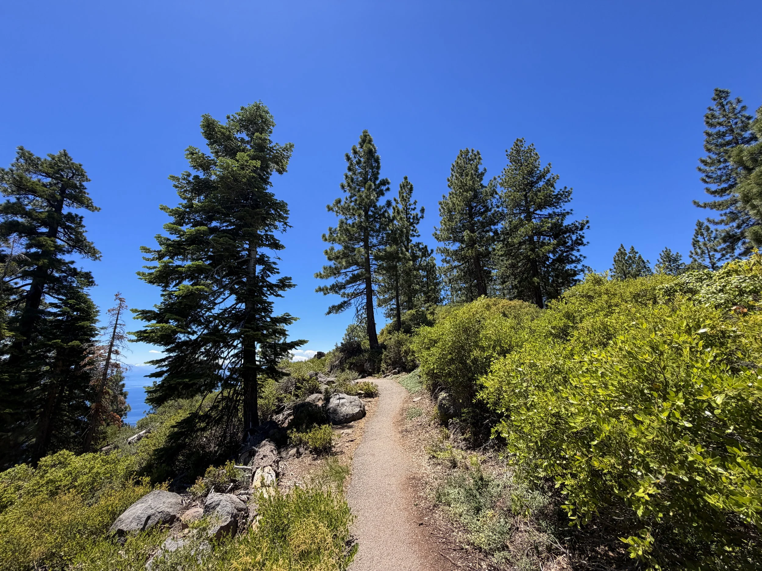 Stateline Lookout Trail Lake Tahoe California