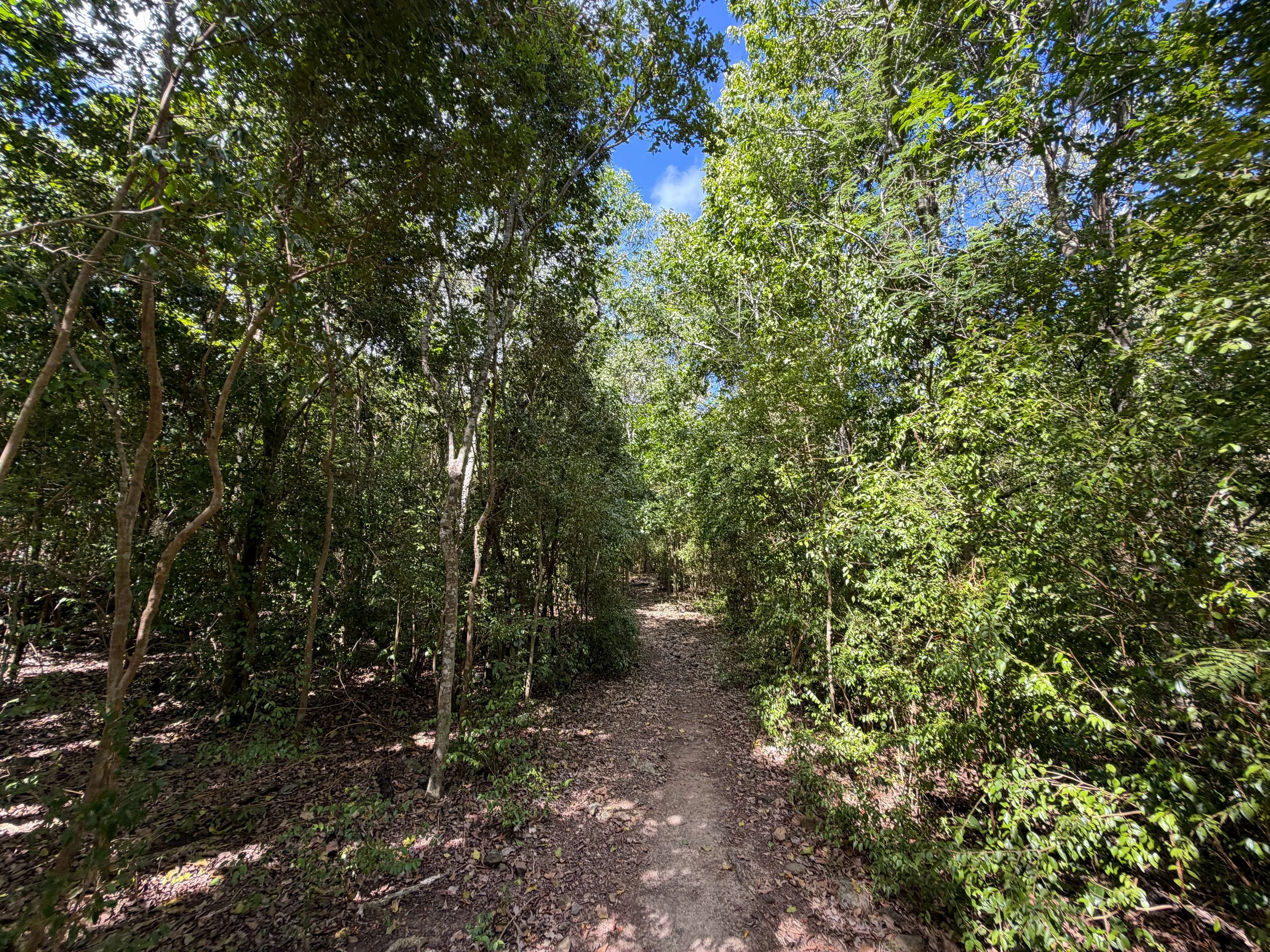 Brown Bay Trail to Johnny Horn Trail Virgin Islands National Park