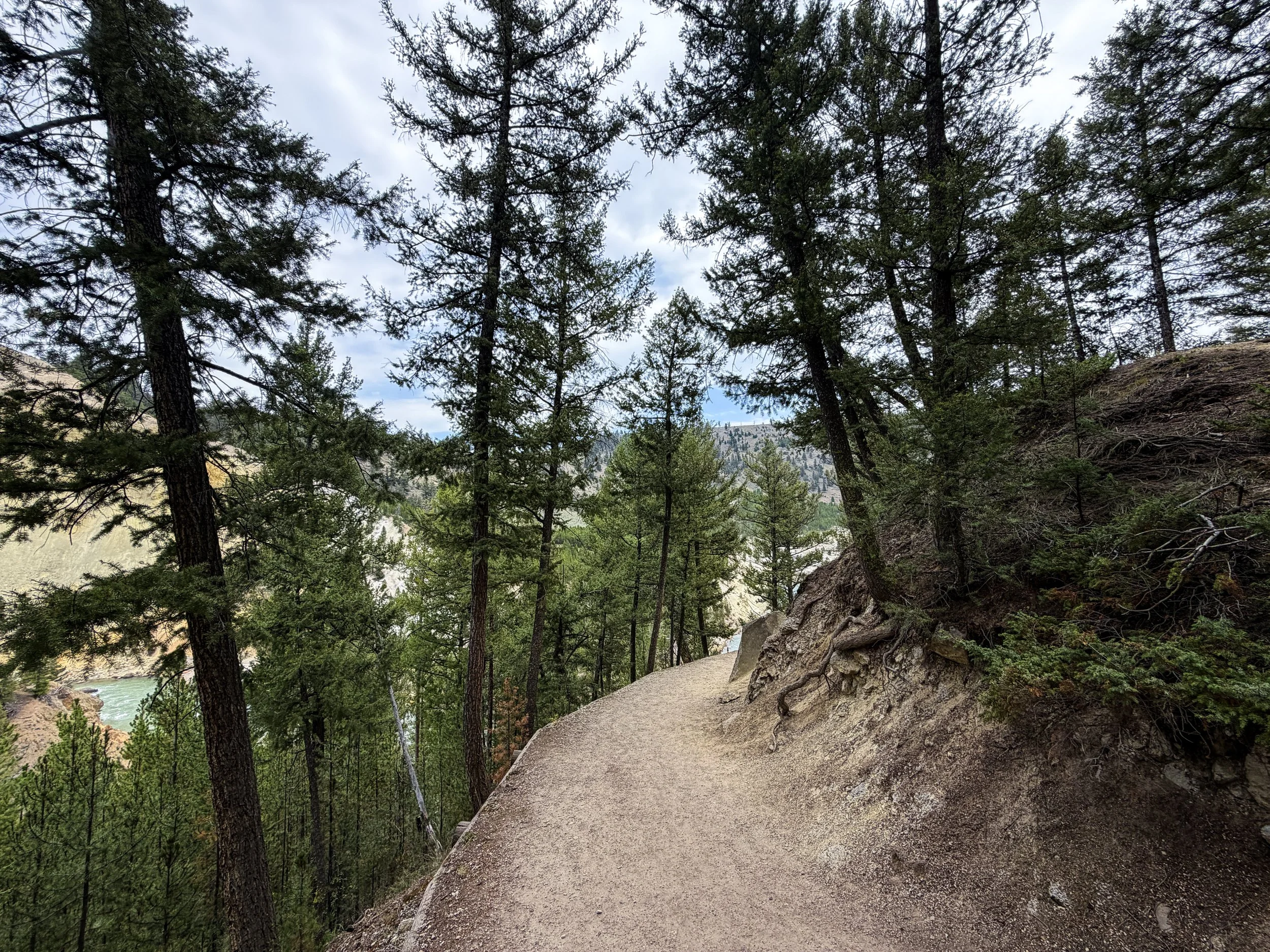 Tower Falls Trail Yellowstone National Park Wyoming