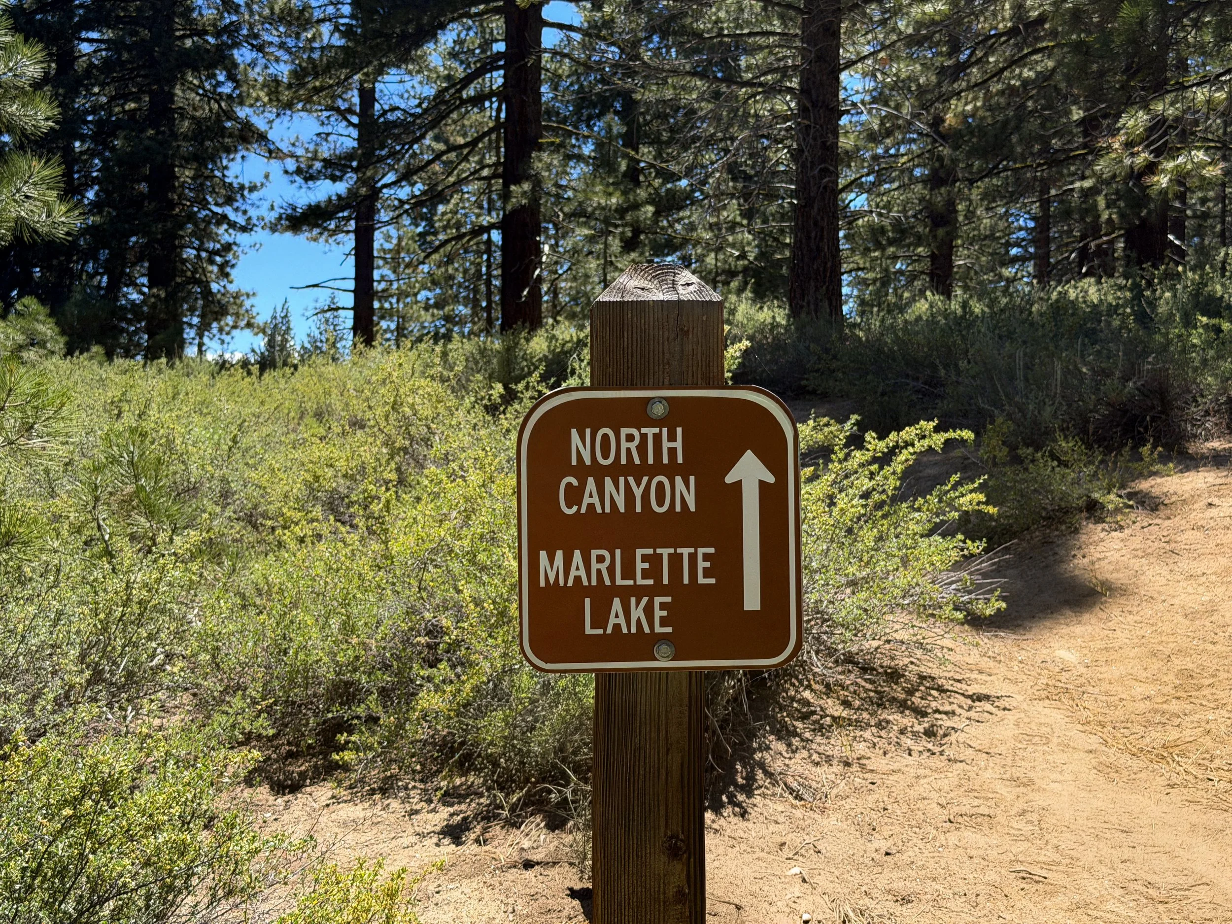 Spooner Lake Loop Trail Lake Tahoe Nevada
