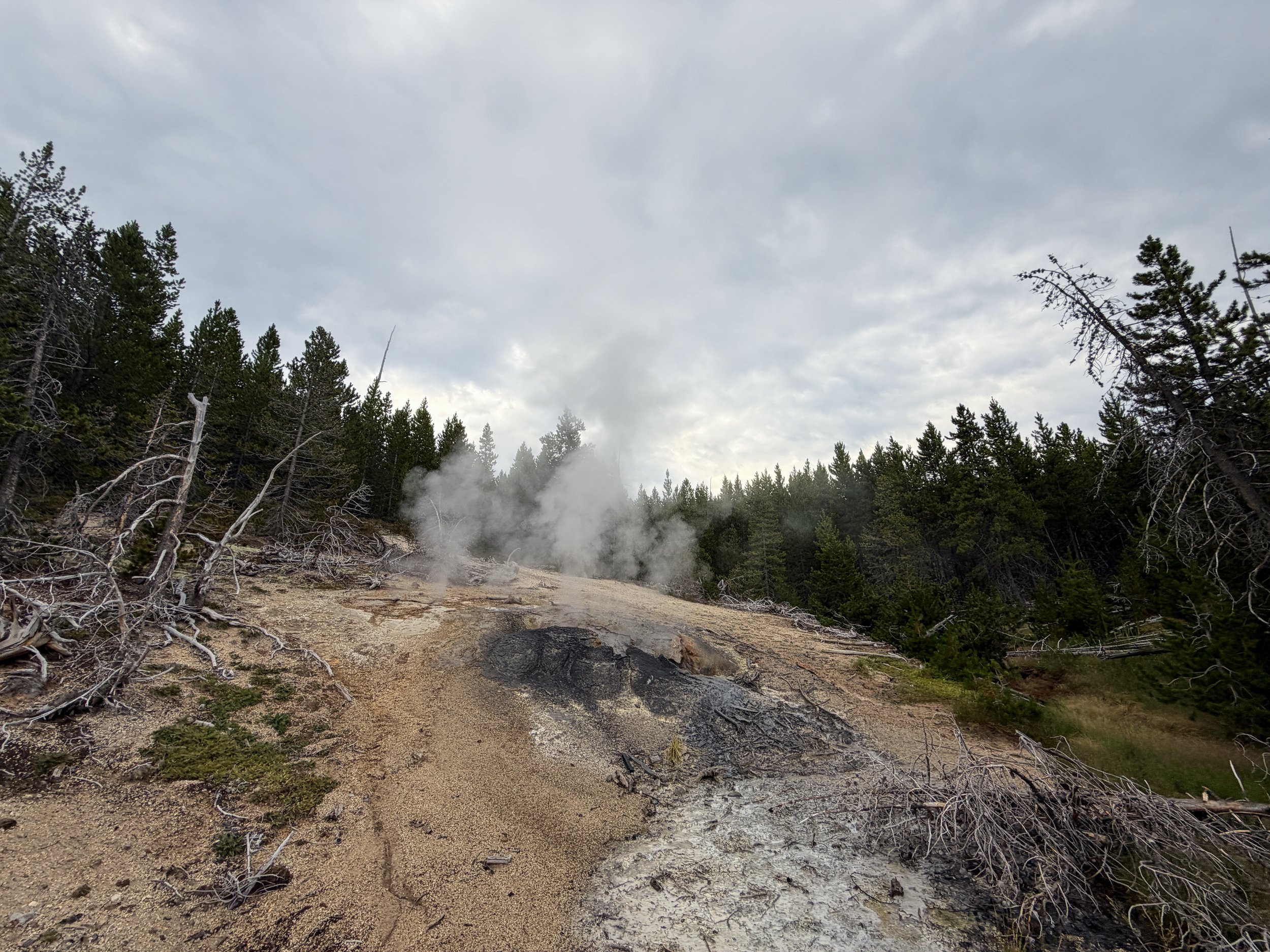 Puff 'n Stuff Geyser Norris Geyser Basin Trail Yellowstone National Park Wyoming