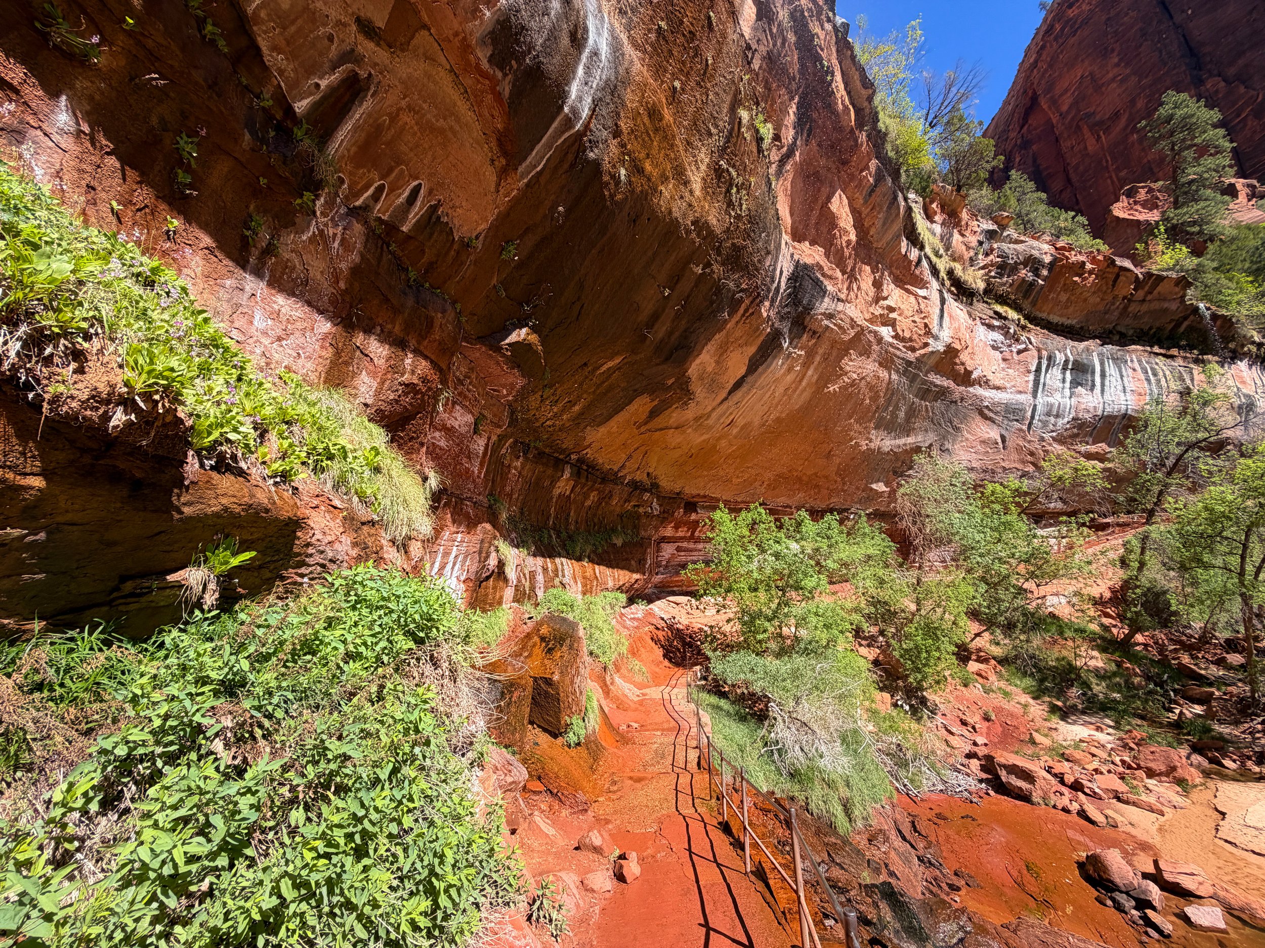 Lower Emerald Pool Zion National Park Utah