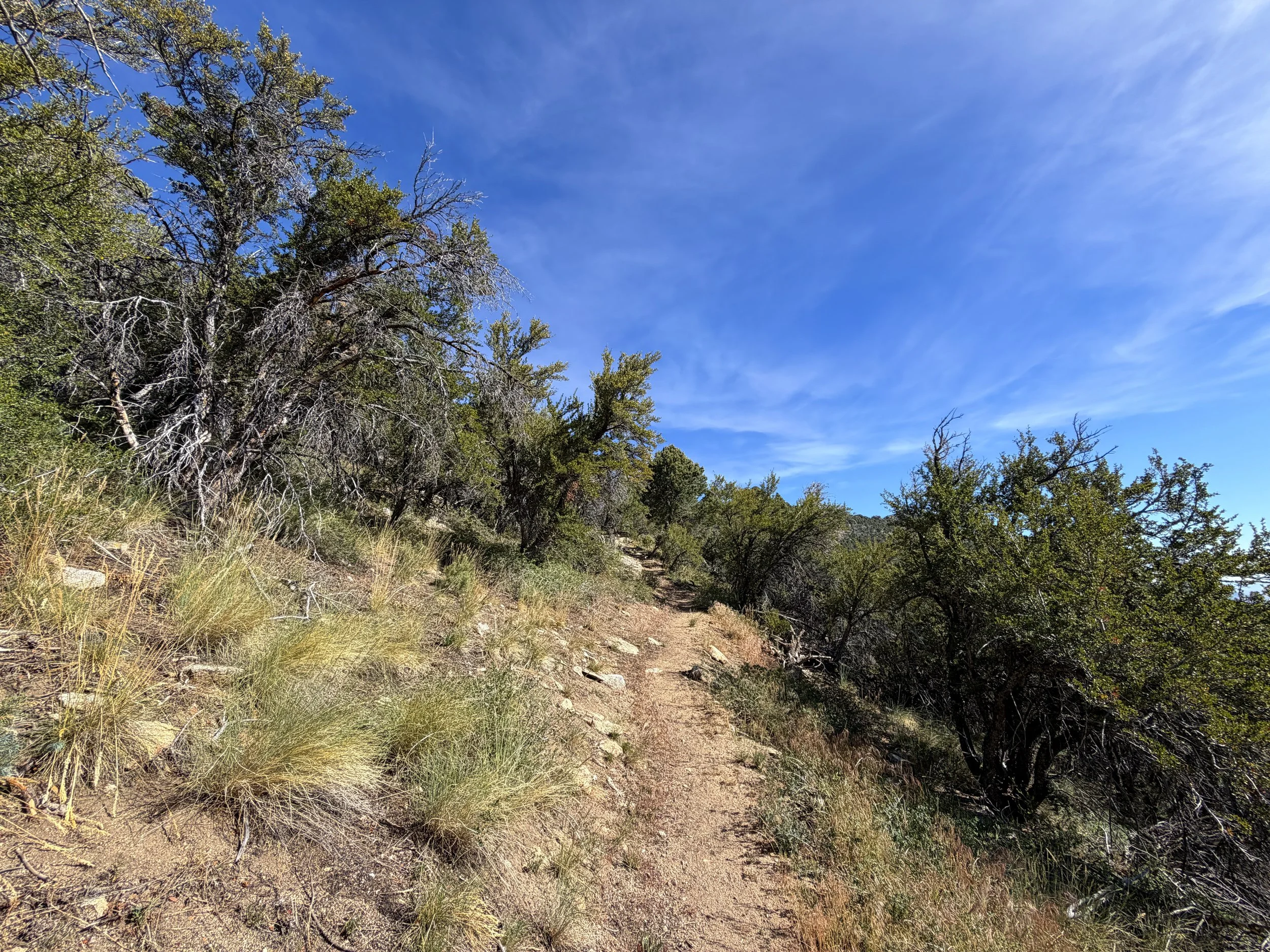 Pole Canyon Hike Great Basin National Park Nevada