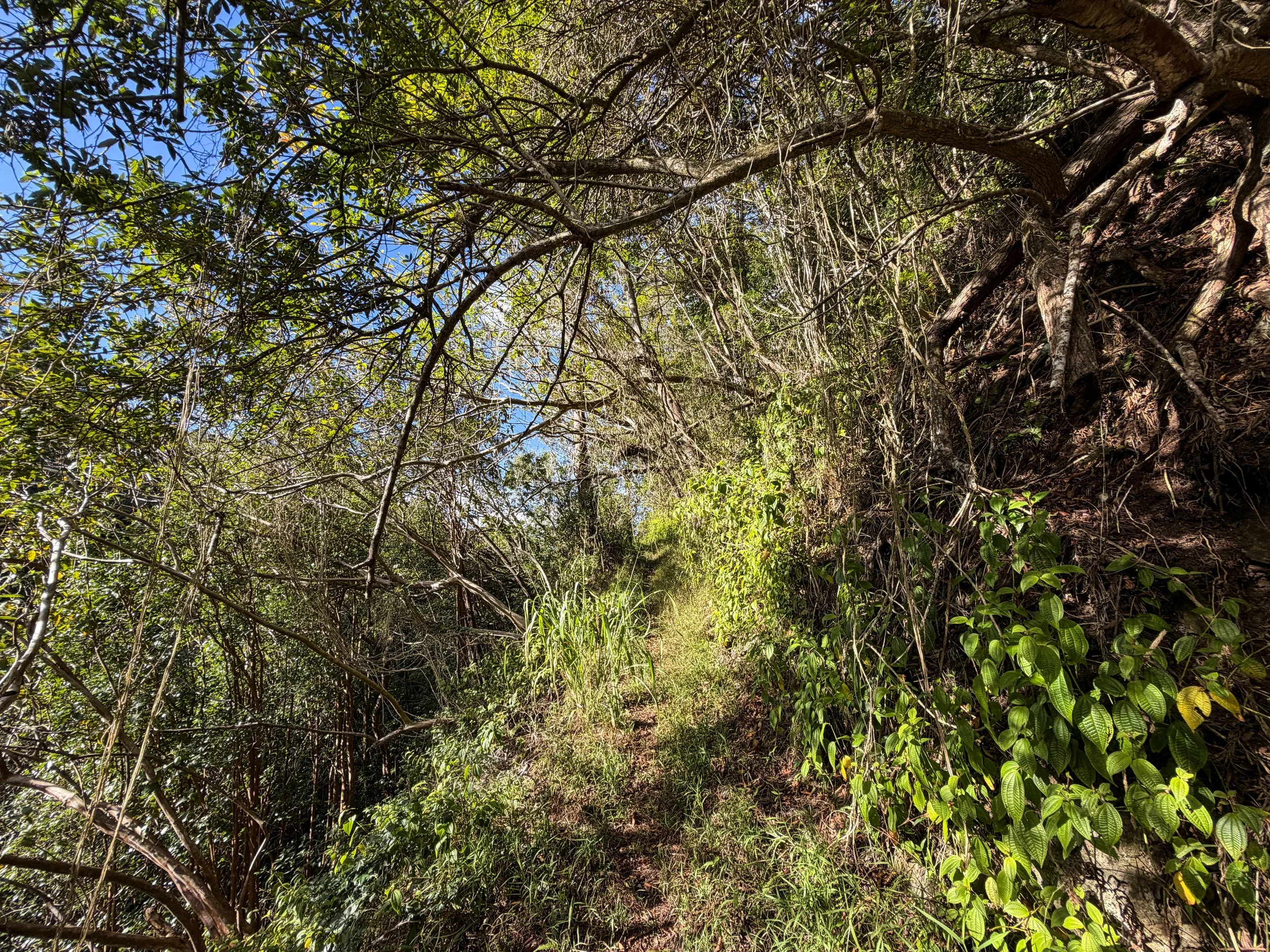 Mokuleia Trail Oahu Hawaii