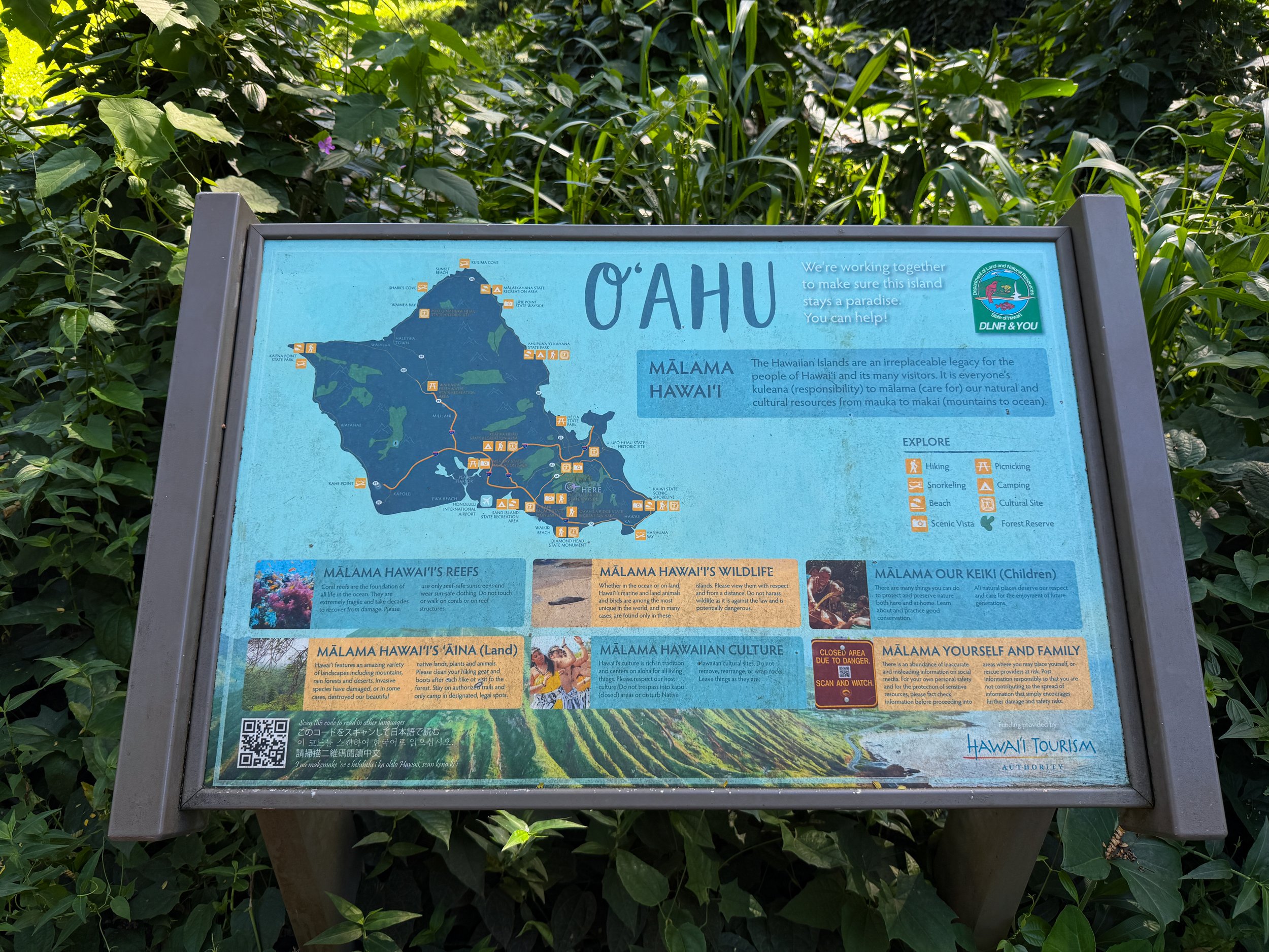 Manoa Falls Trail Oahu Hawaii