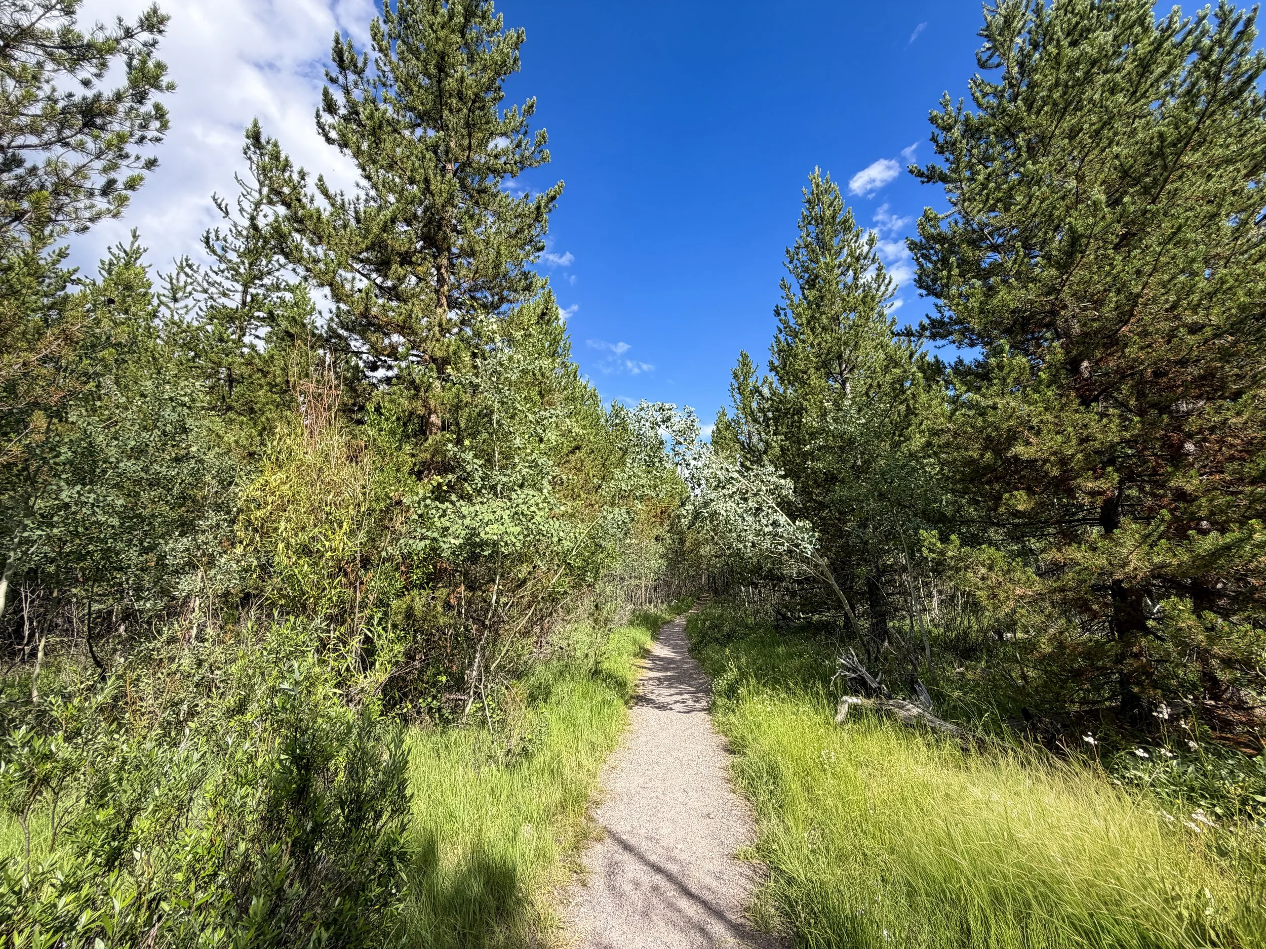 Fairy Falls Trail to Imperial Geyser Yellowstone National Park Wyoming