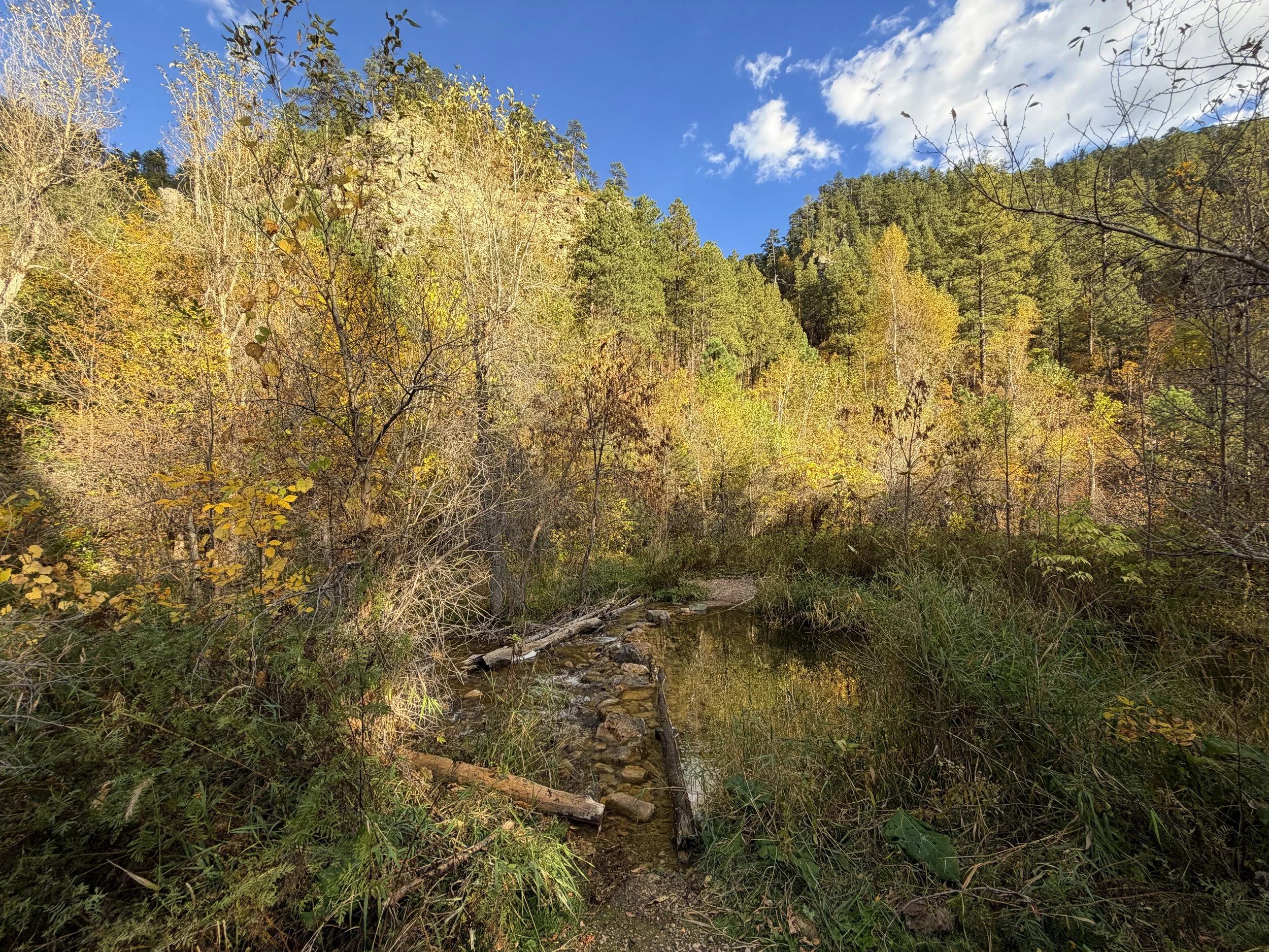 Community Caves Trail Spearfish Canyon Black Hills South Dakota