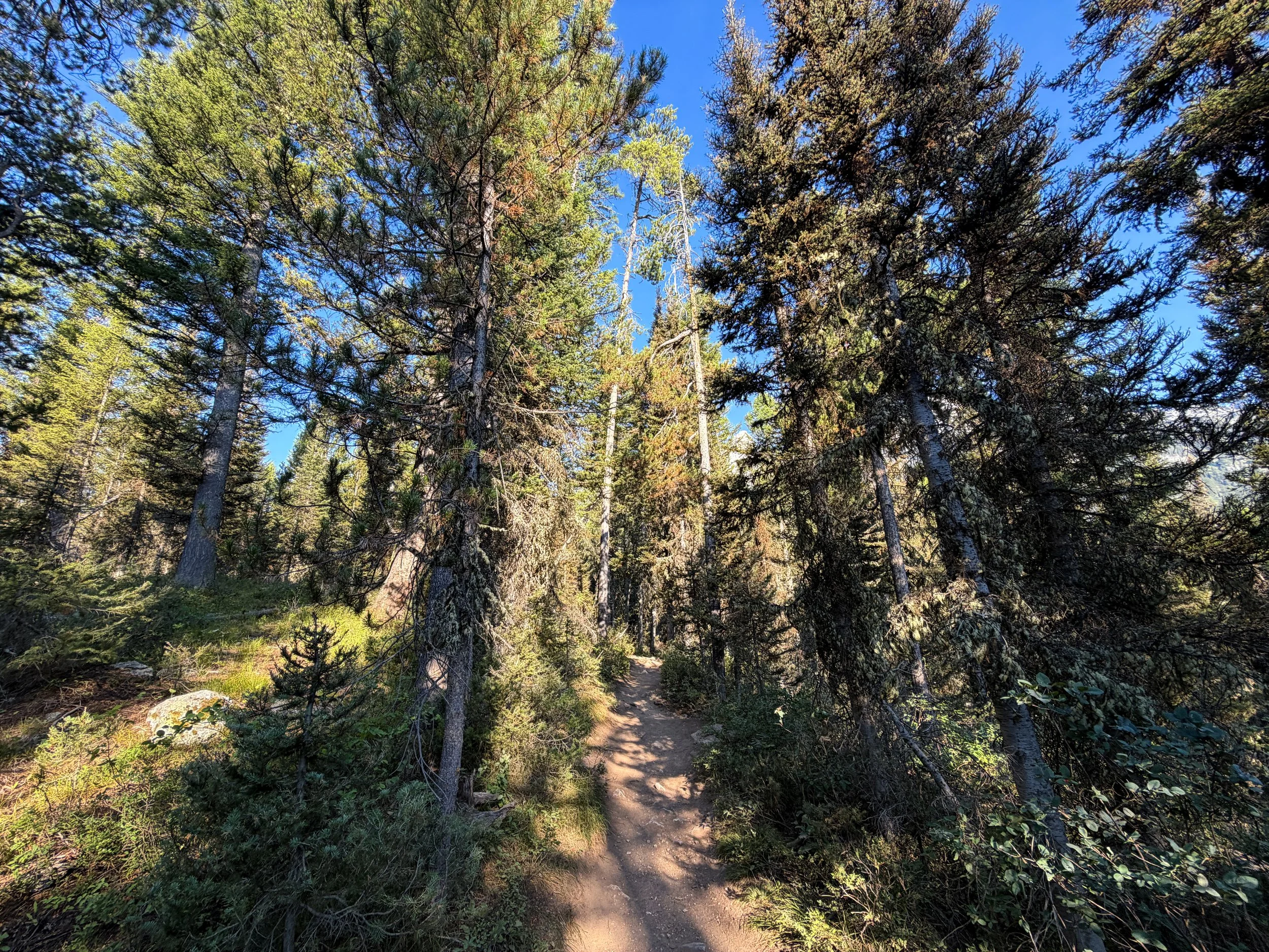 Delta Lake Hike Grand Teton National Park Wyoming