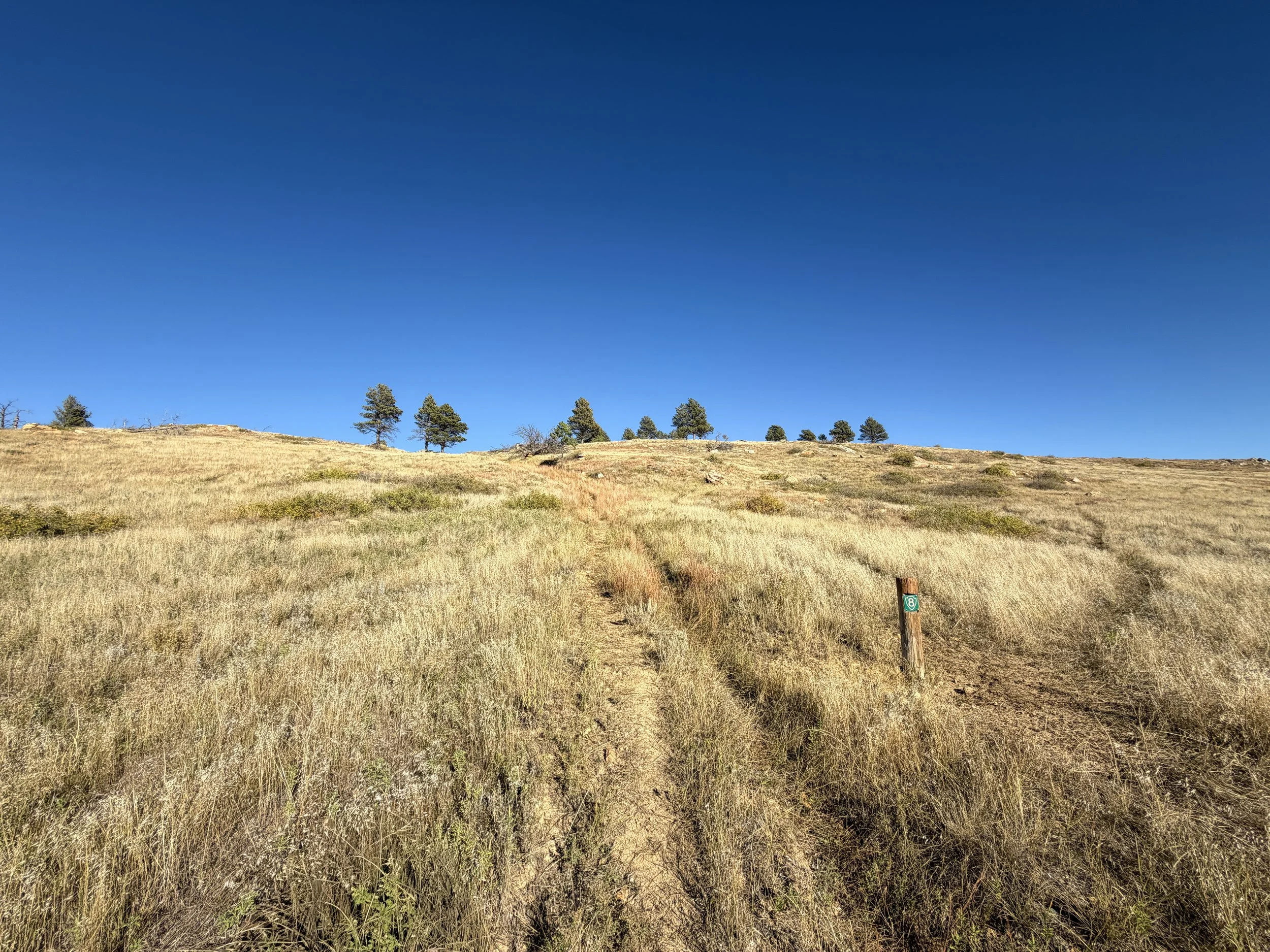 Boland Ridge Hike Wind Cave National Park South Dakota