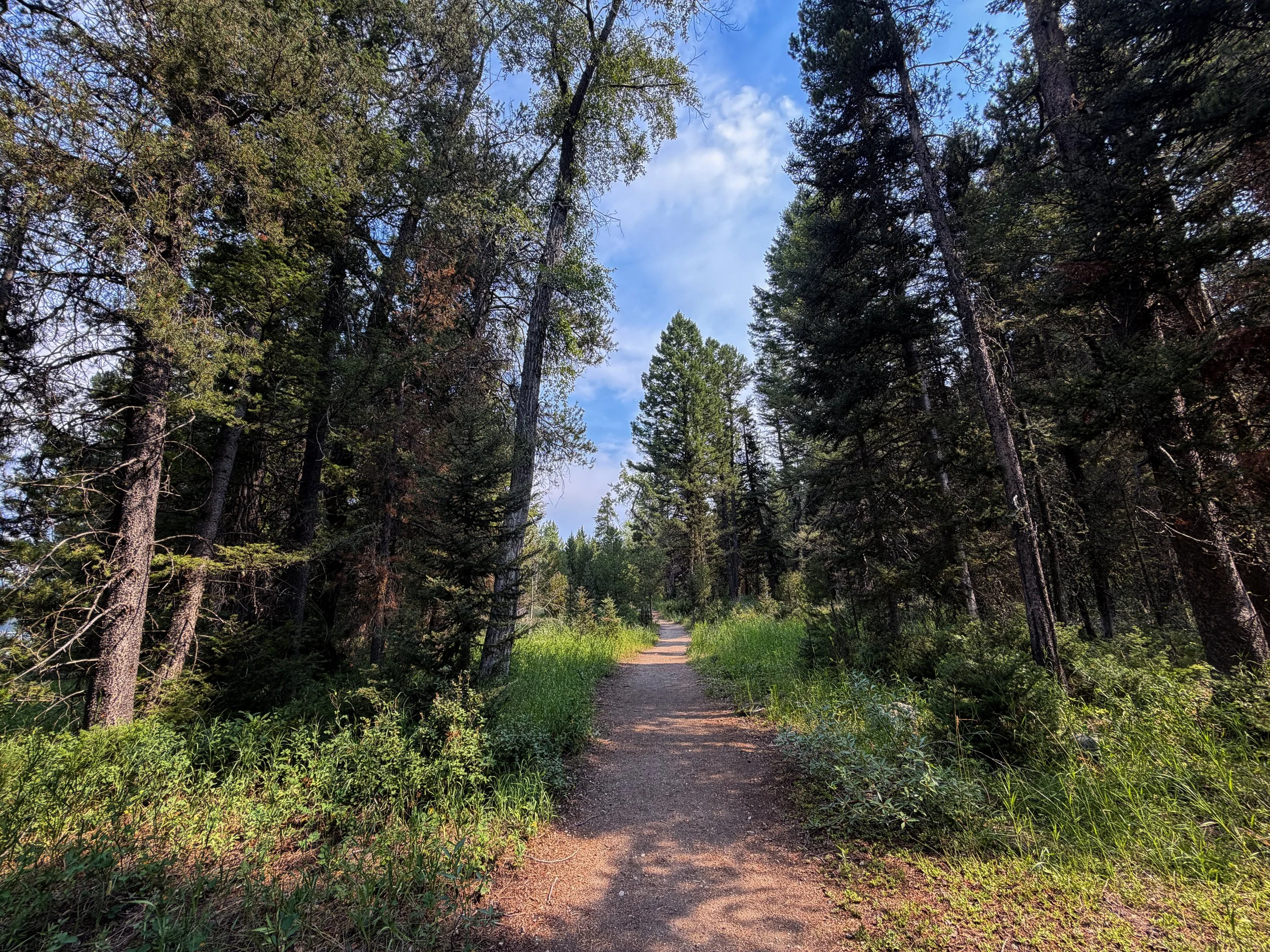 Boulder Ridge Loop Trail Grand Teton National Park Wyoming
