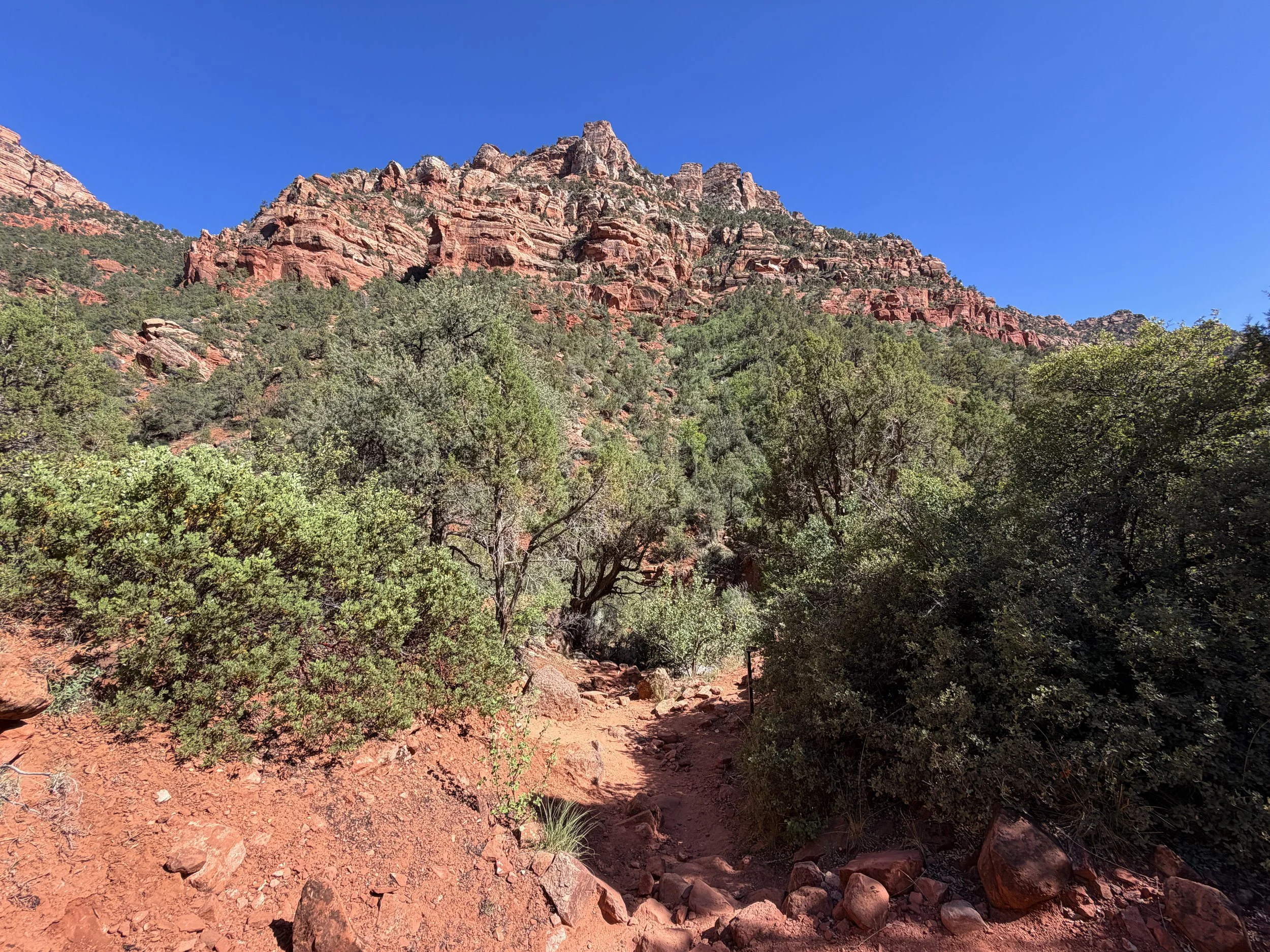 Subway Trail Bottom Up Zion National Park Utah