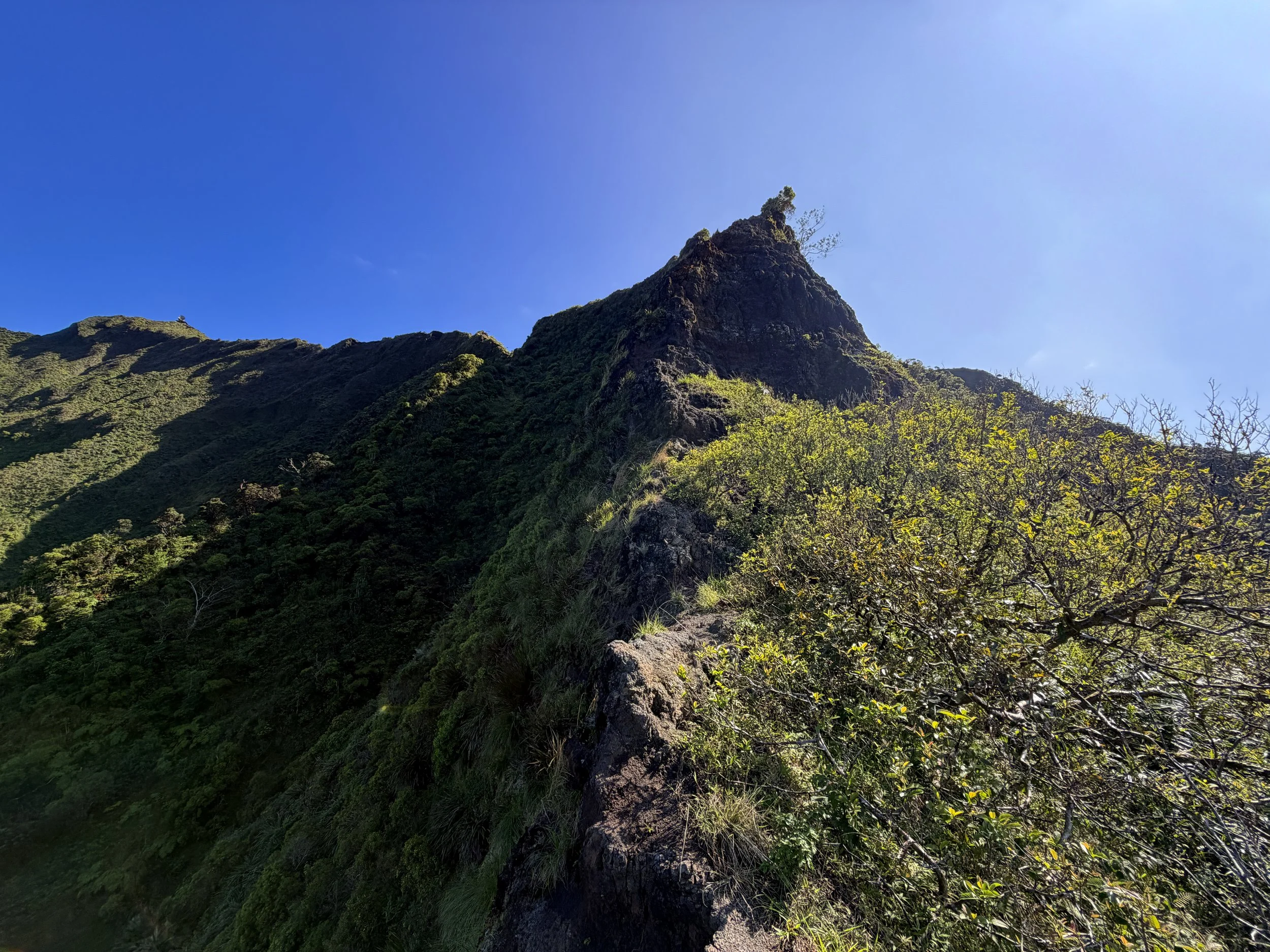 Moanalua Saddle KST Oahu Hawaii