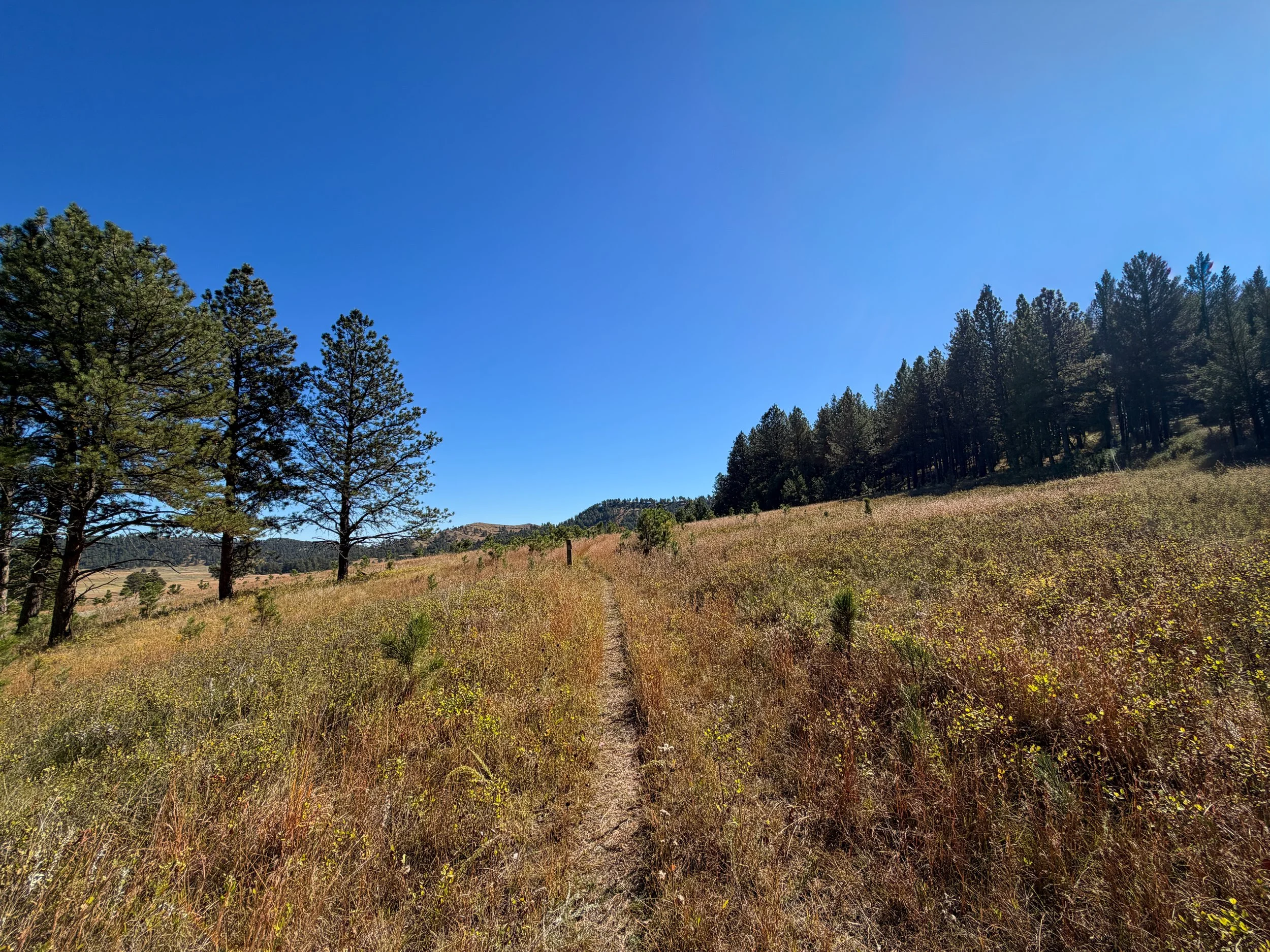 Sanctuary Trail Wind Cave National Park South Dakota