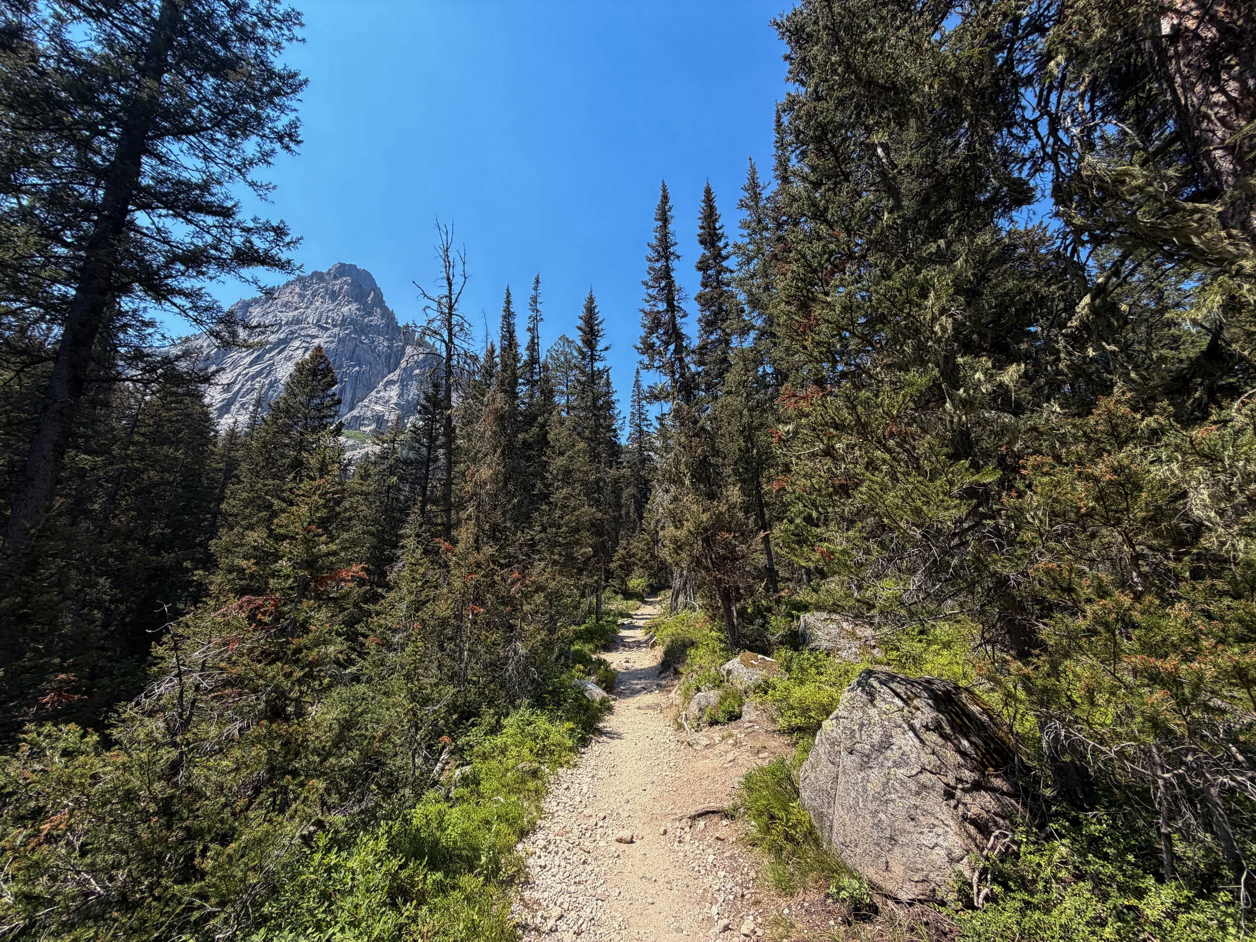 Cascade Canyon Trail Grand Teton National Park Wyoming