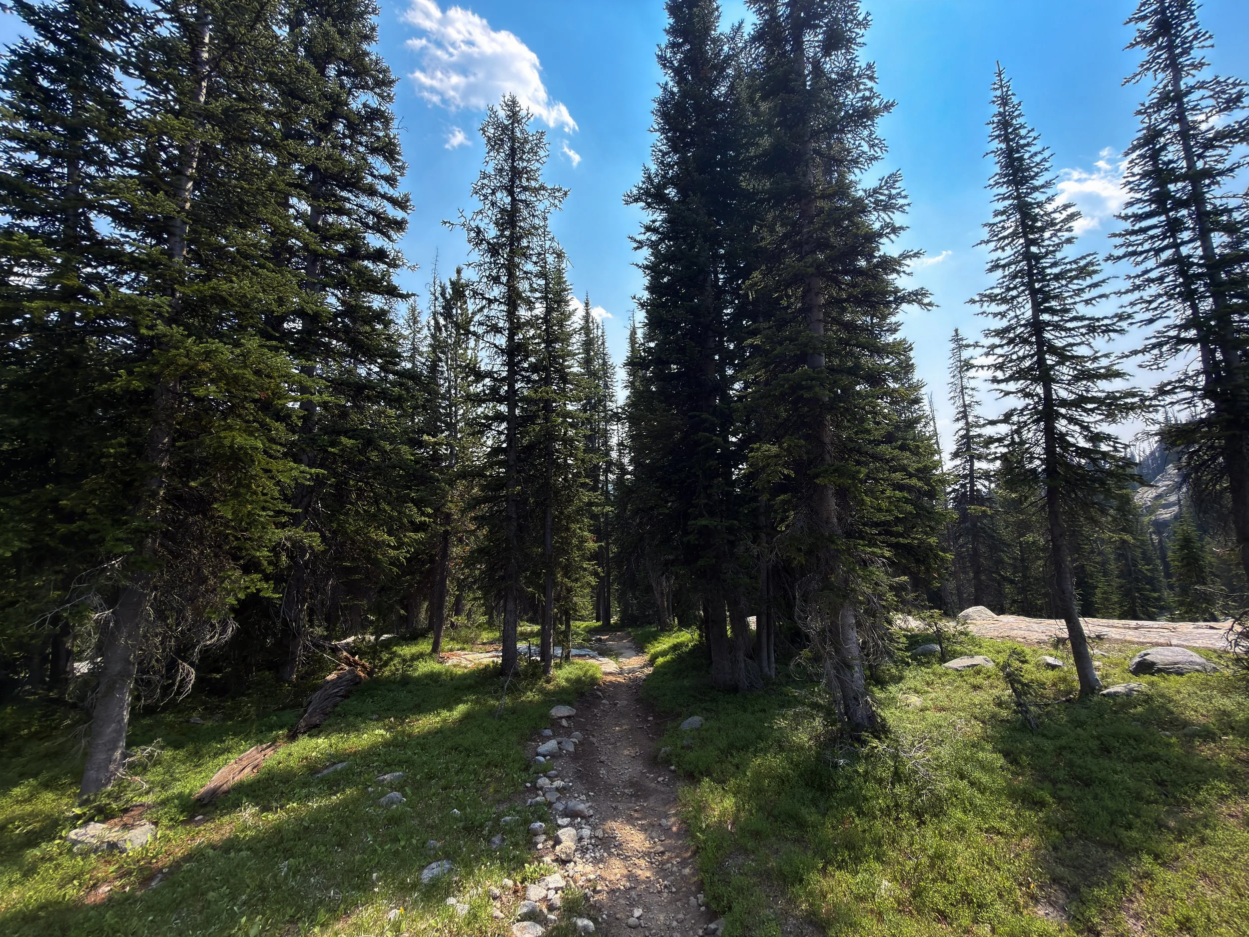 Russell Creek Trail The Beaten Path Beartooth Mountains Montana