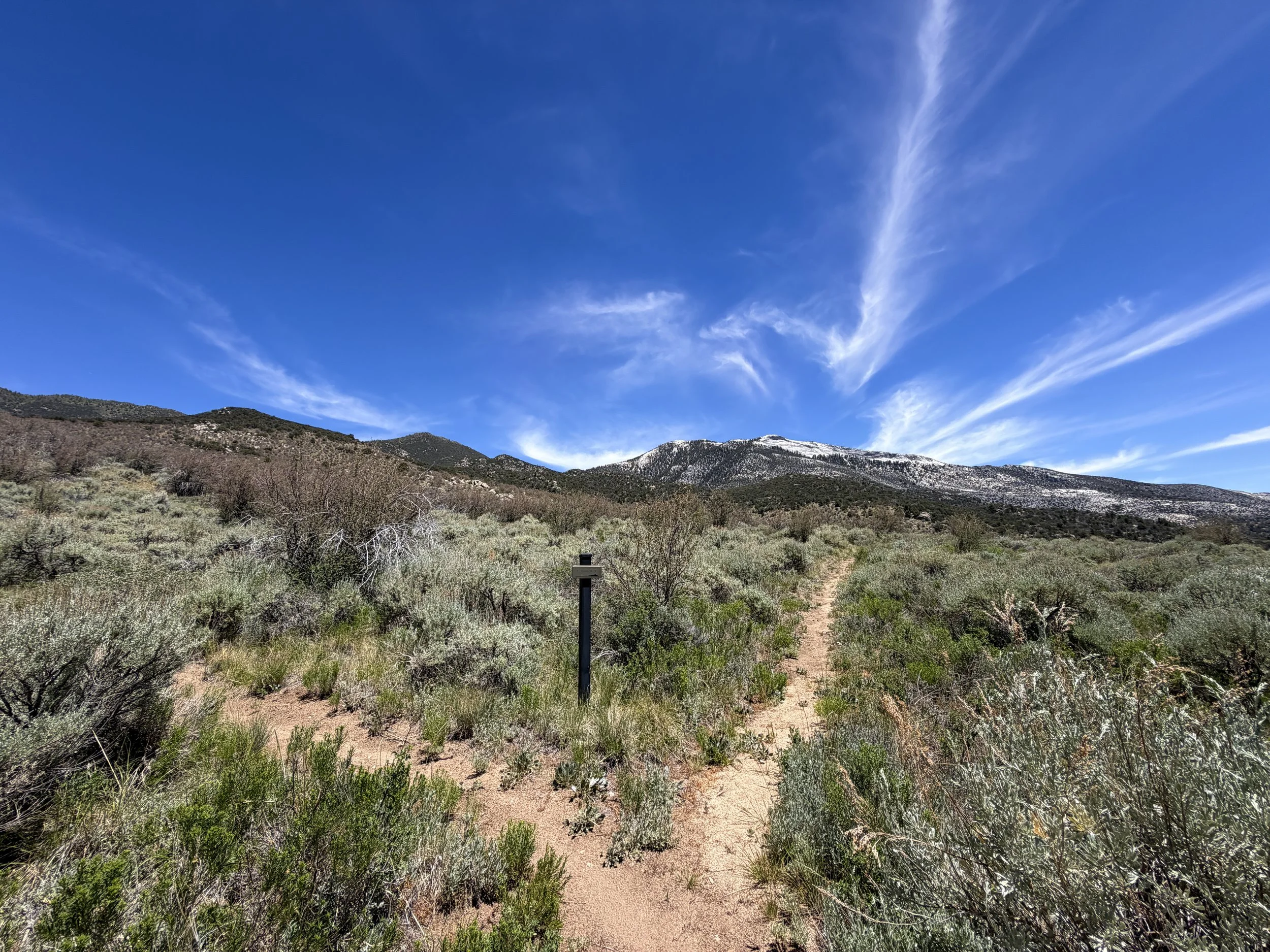 Serviceberry Loop Trail Great Basin National Park Nevada