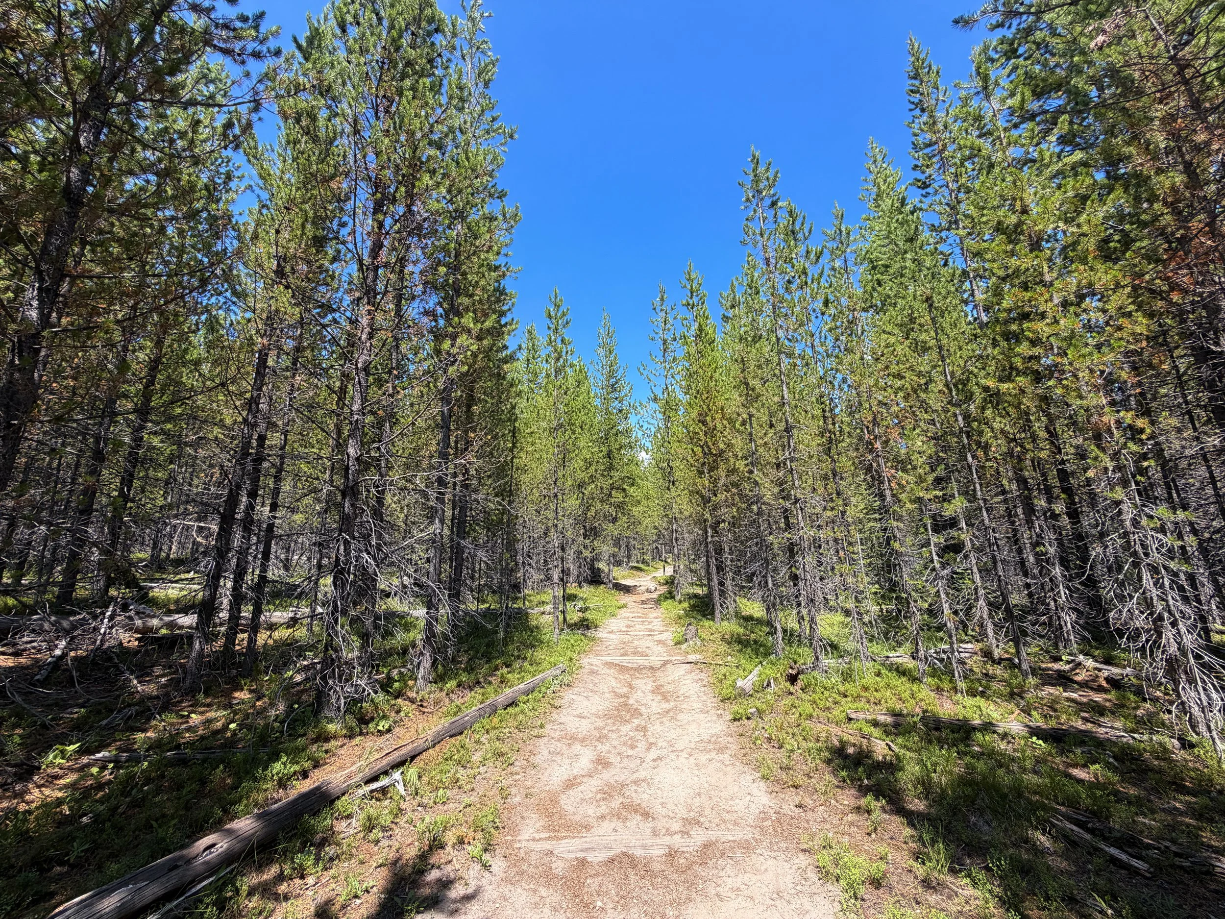 Duck Lake Trail Yellowstone National Park Wyoming