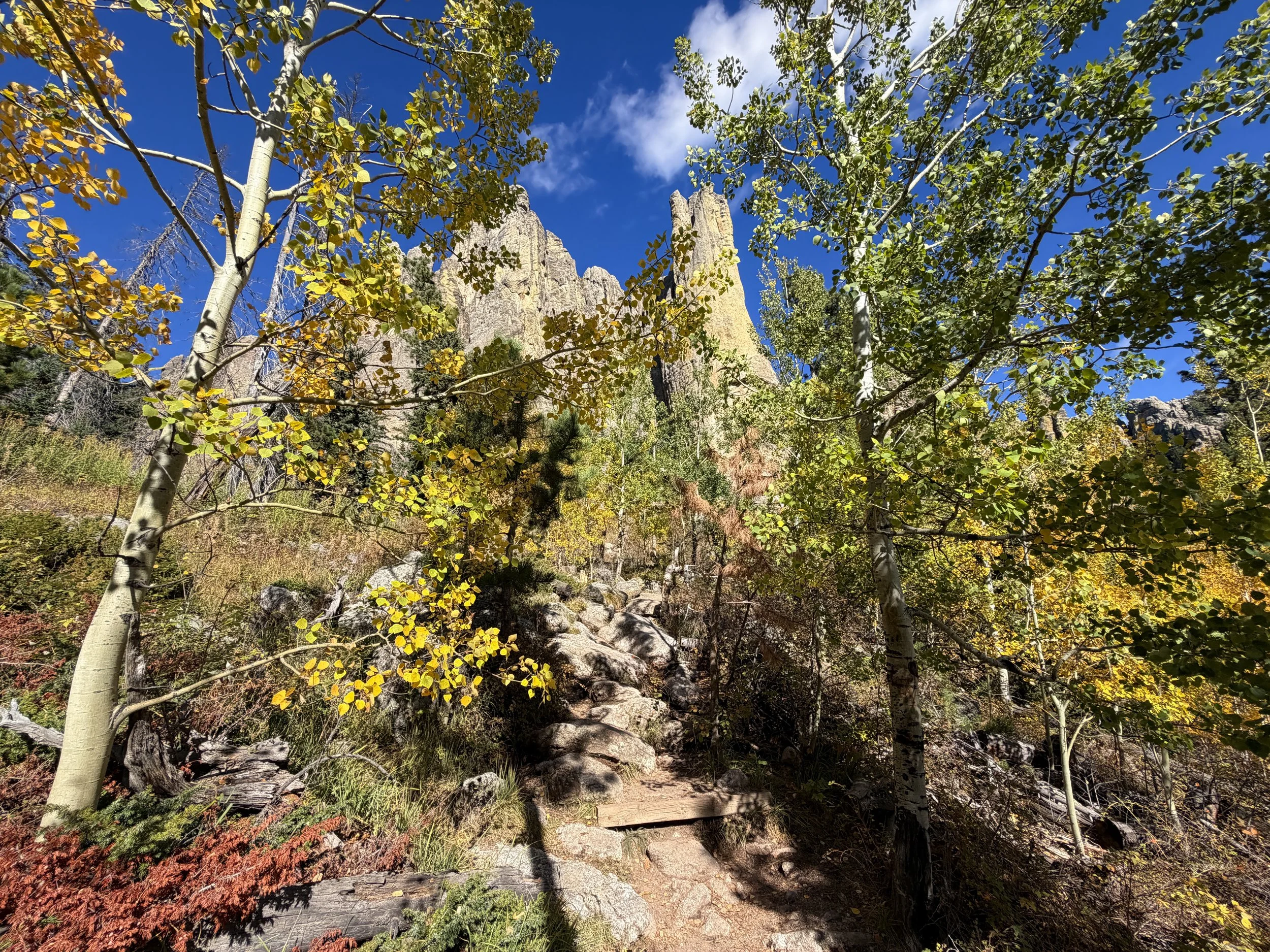 Cathedral Spires Hike Custer State Park Black Hills South Dakota