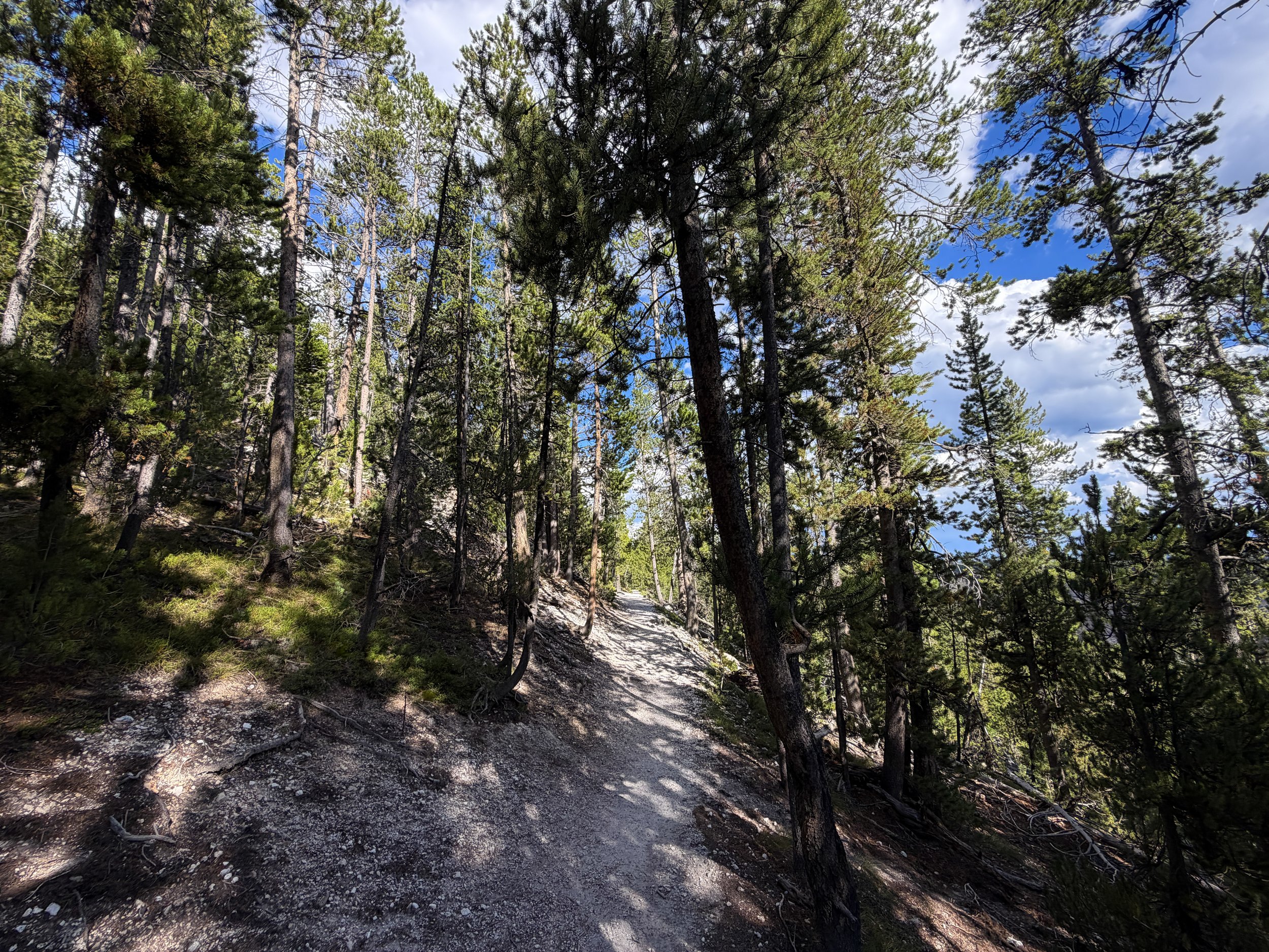 North Rim Trail Yellowstone National Park Wyoming