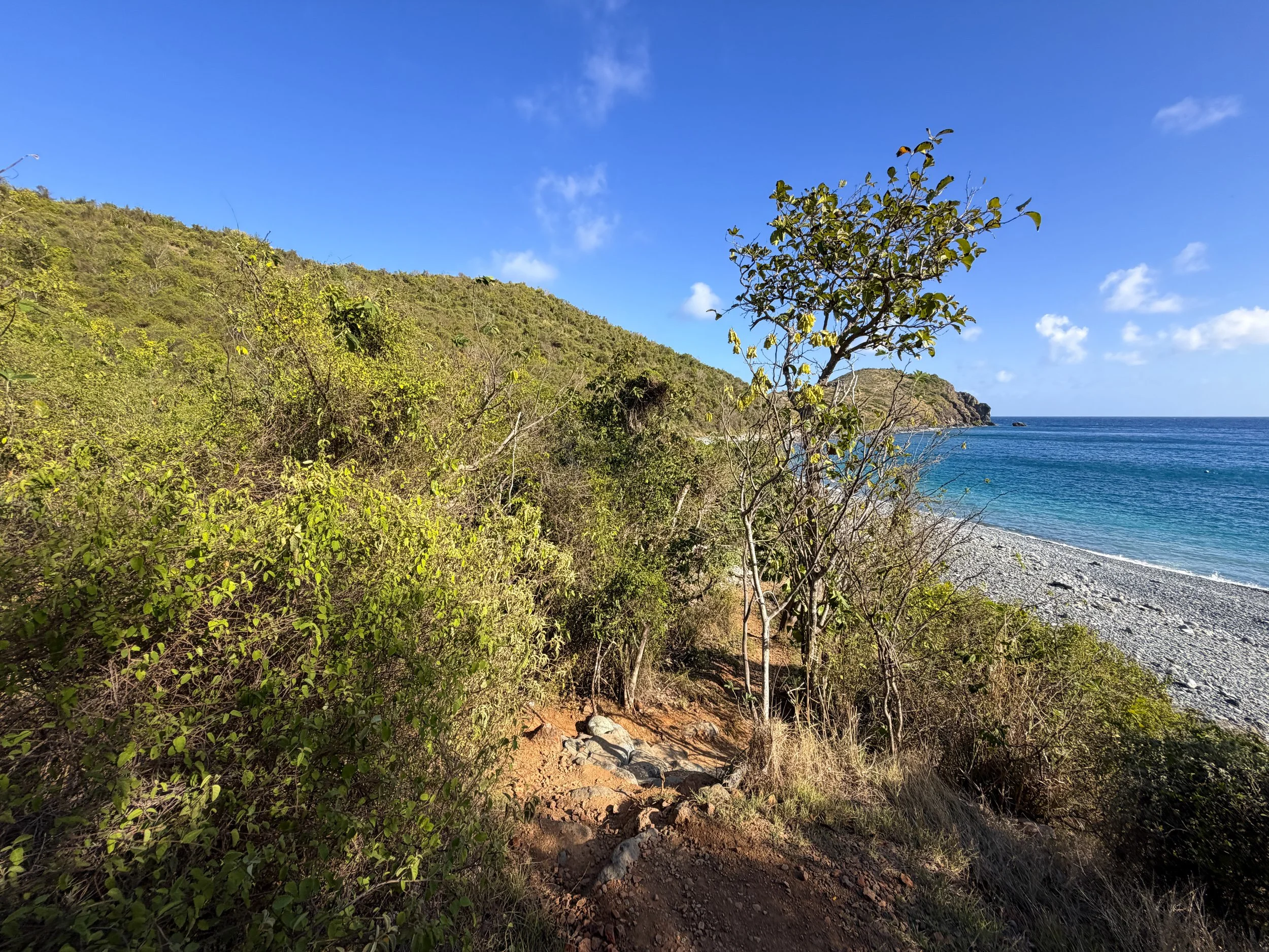 Ram Head Trail Virgin Islands National Park