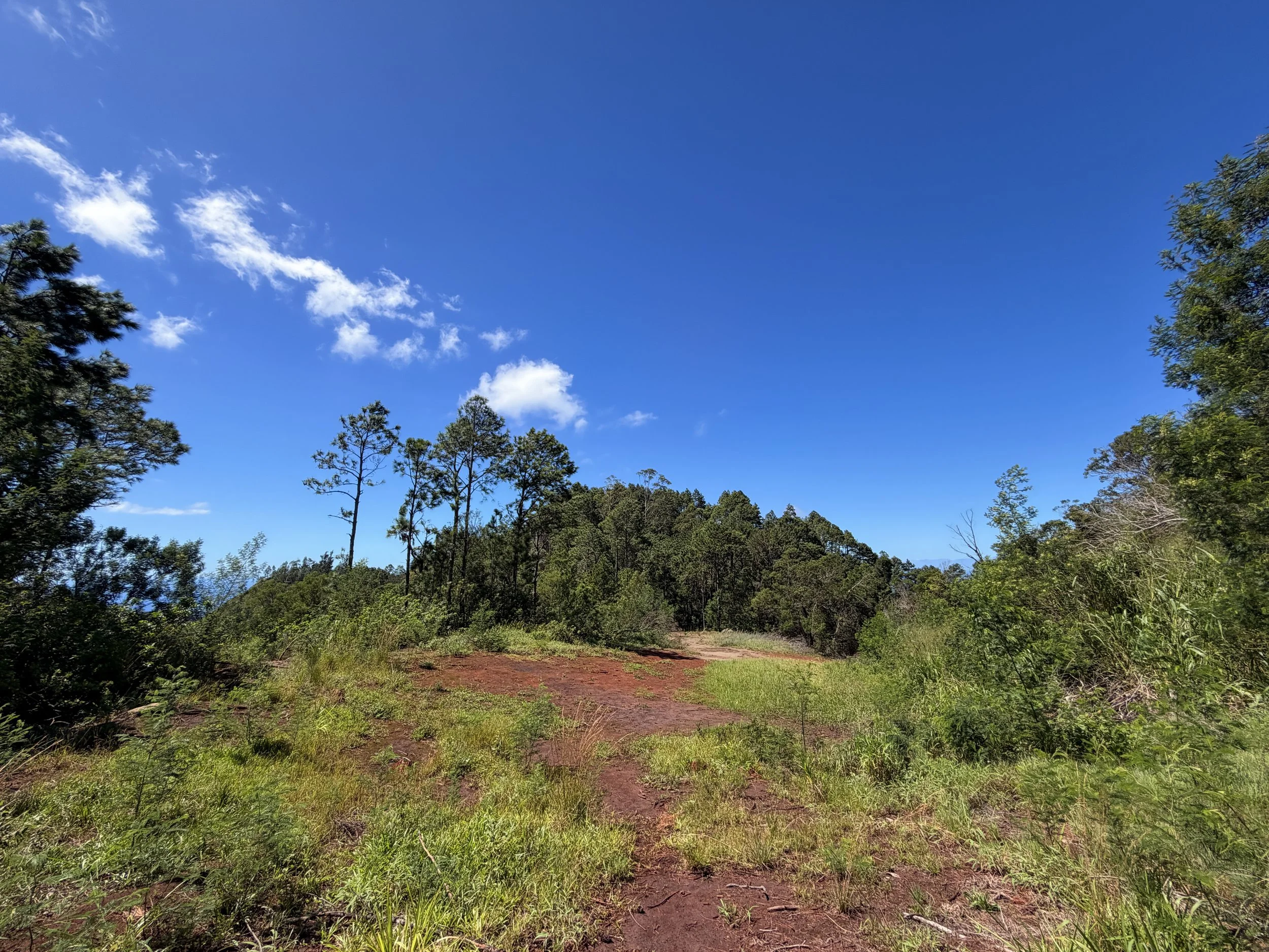 Kuaokala Trail Oahu Hawaii