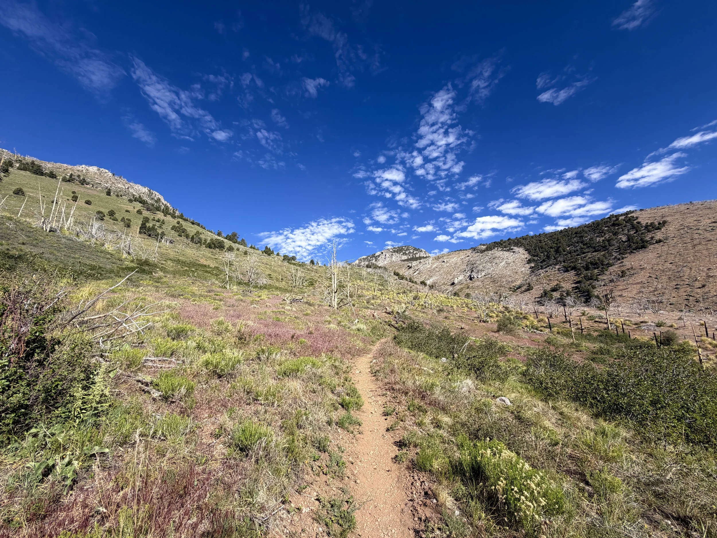 Lexington Arch Trail Great Basin National Park Nevada