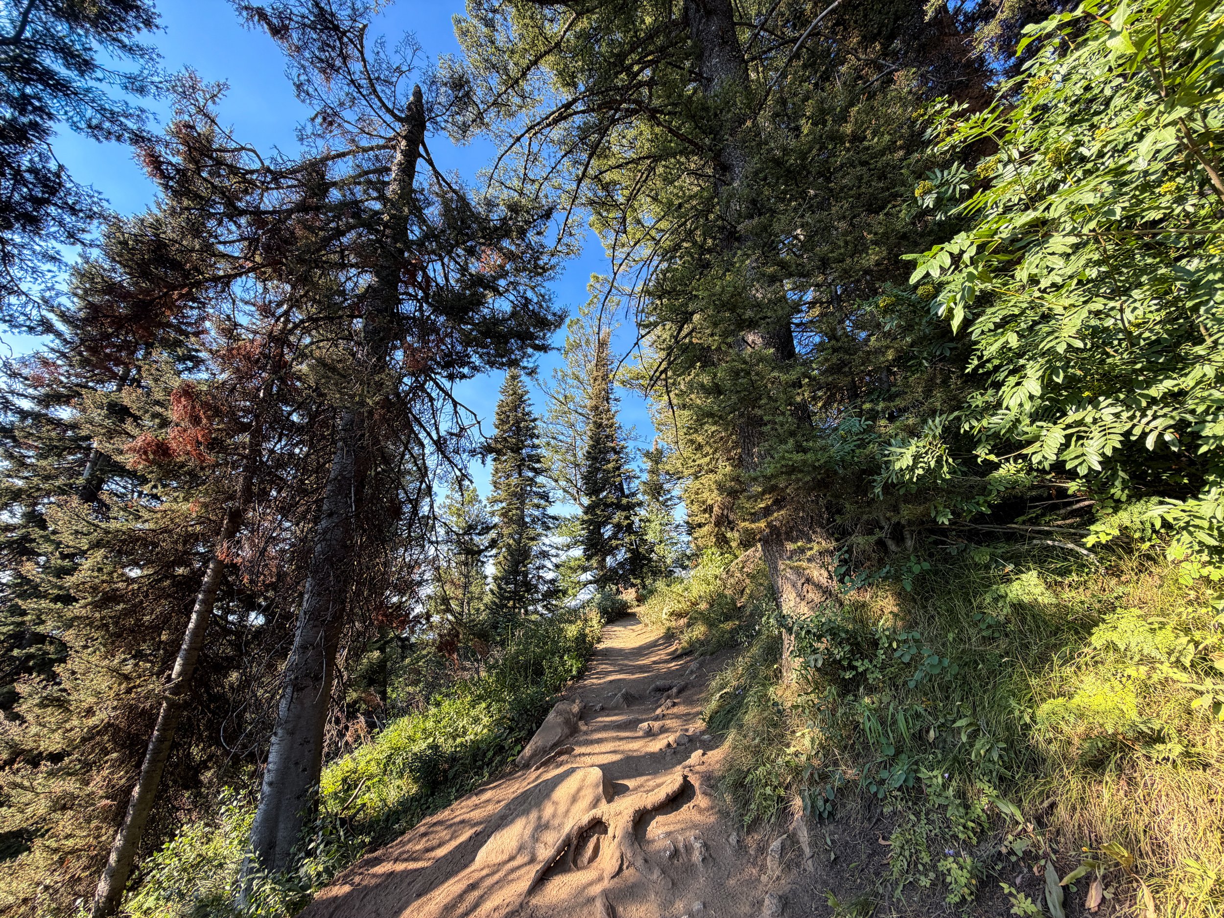 Delta Lake Trail Switchbacks Grand Teton National Park Wyoming