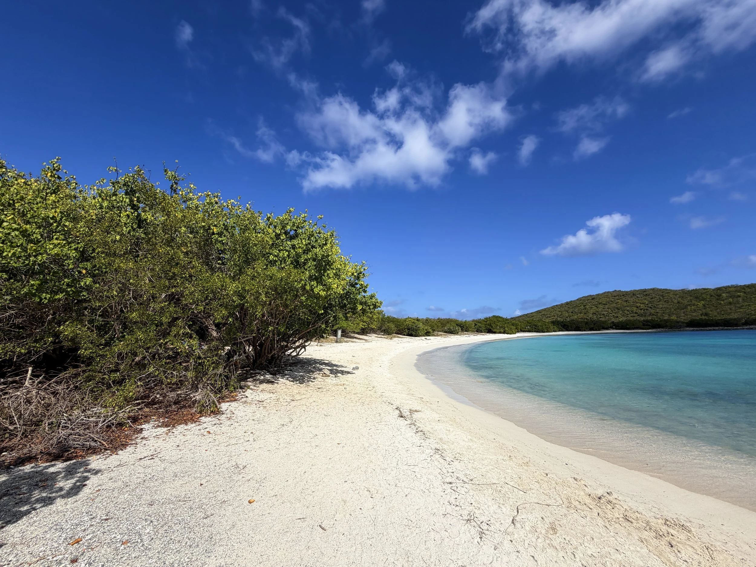 Salt Pond Bay to Drunk Bay Trail Virgin Islands National Park