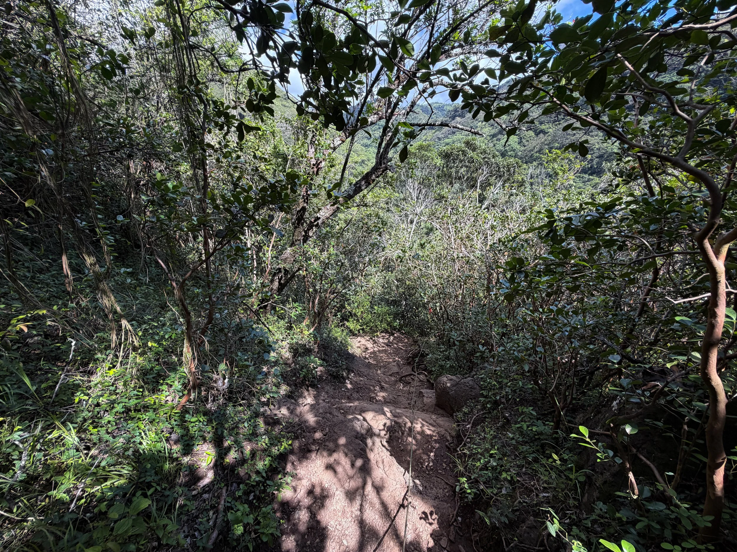 Waimano Pools Hike Oahu Hawaii
