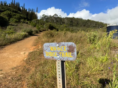 79 Water Ridge Path Hiking the Waiheʻe Ridge Trail on Maui, Hawaiʻi — noahawaii