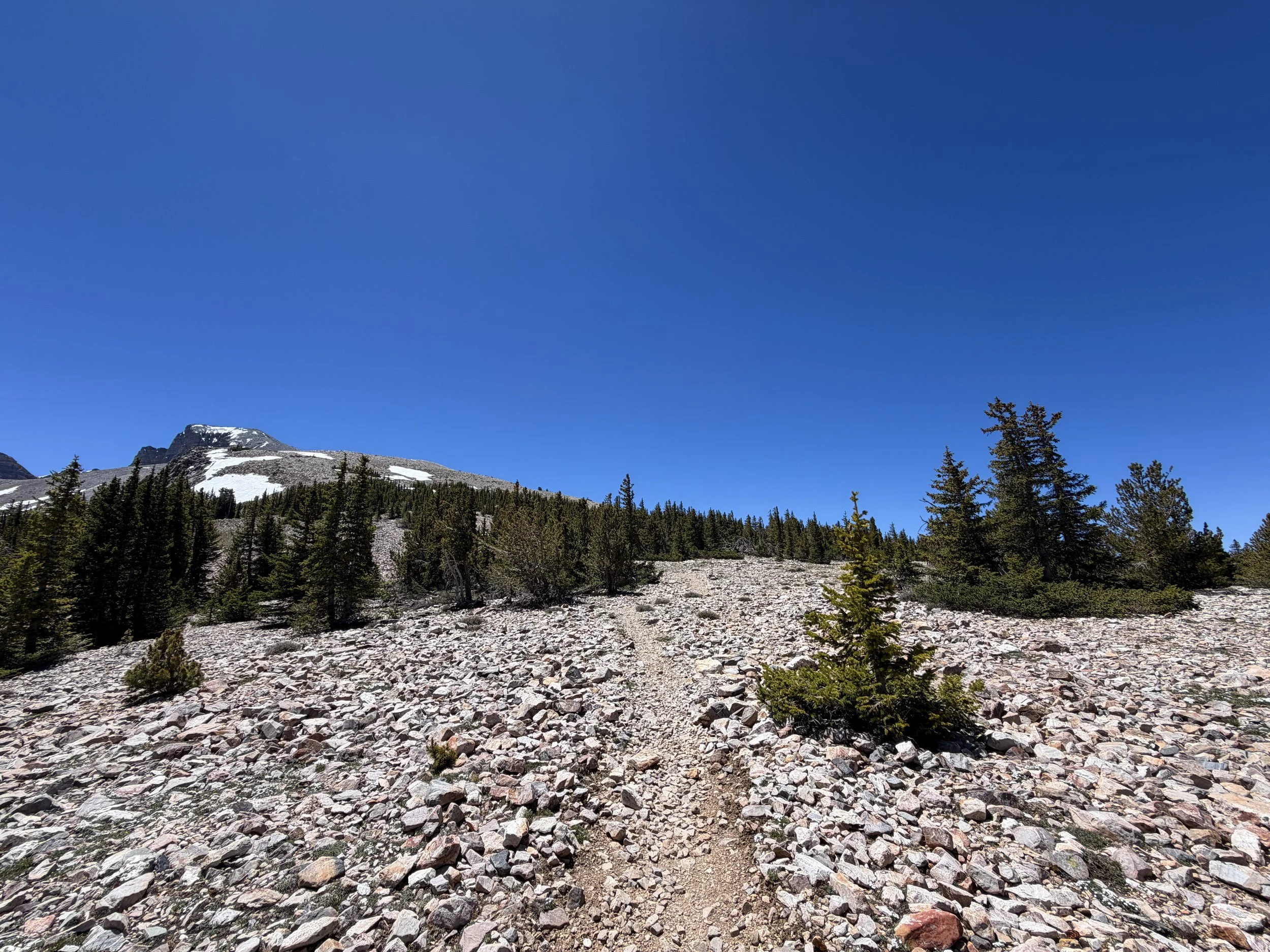 Wheeler Peak Summit Trail Great Basin National Park Nevada