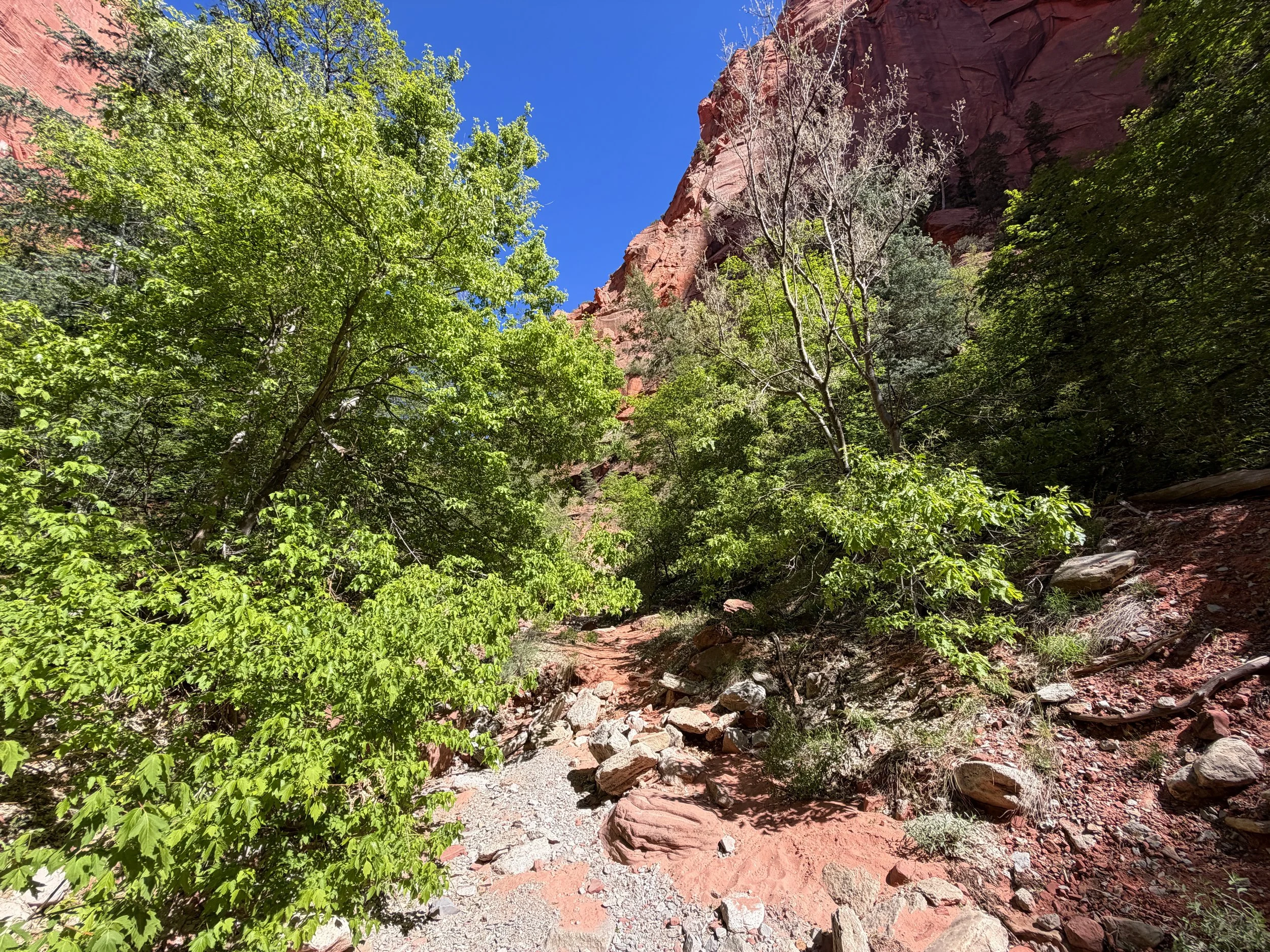 Taylor Creek Trail Zion National Park Utah