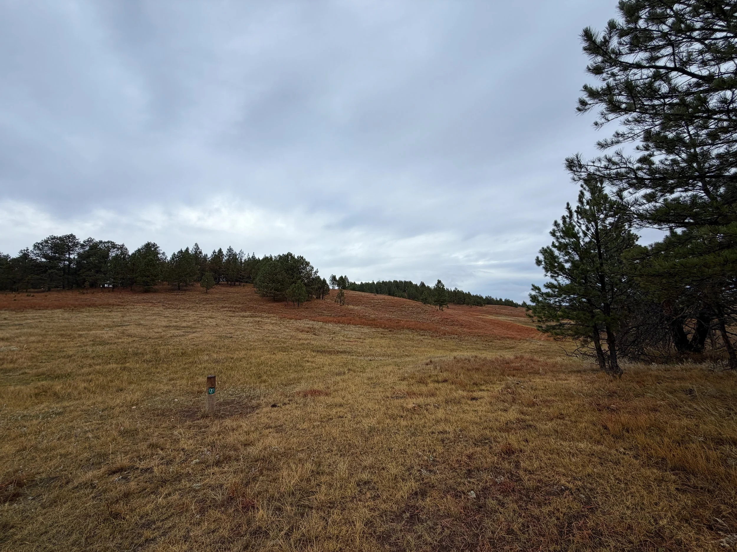 Highland Creek Trail to Wind Cave Canyon Wind Cave National Park South Dakota