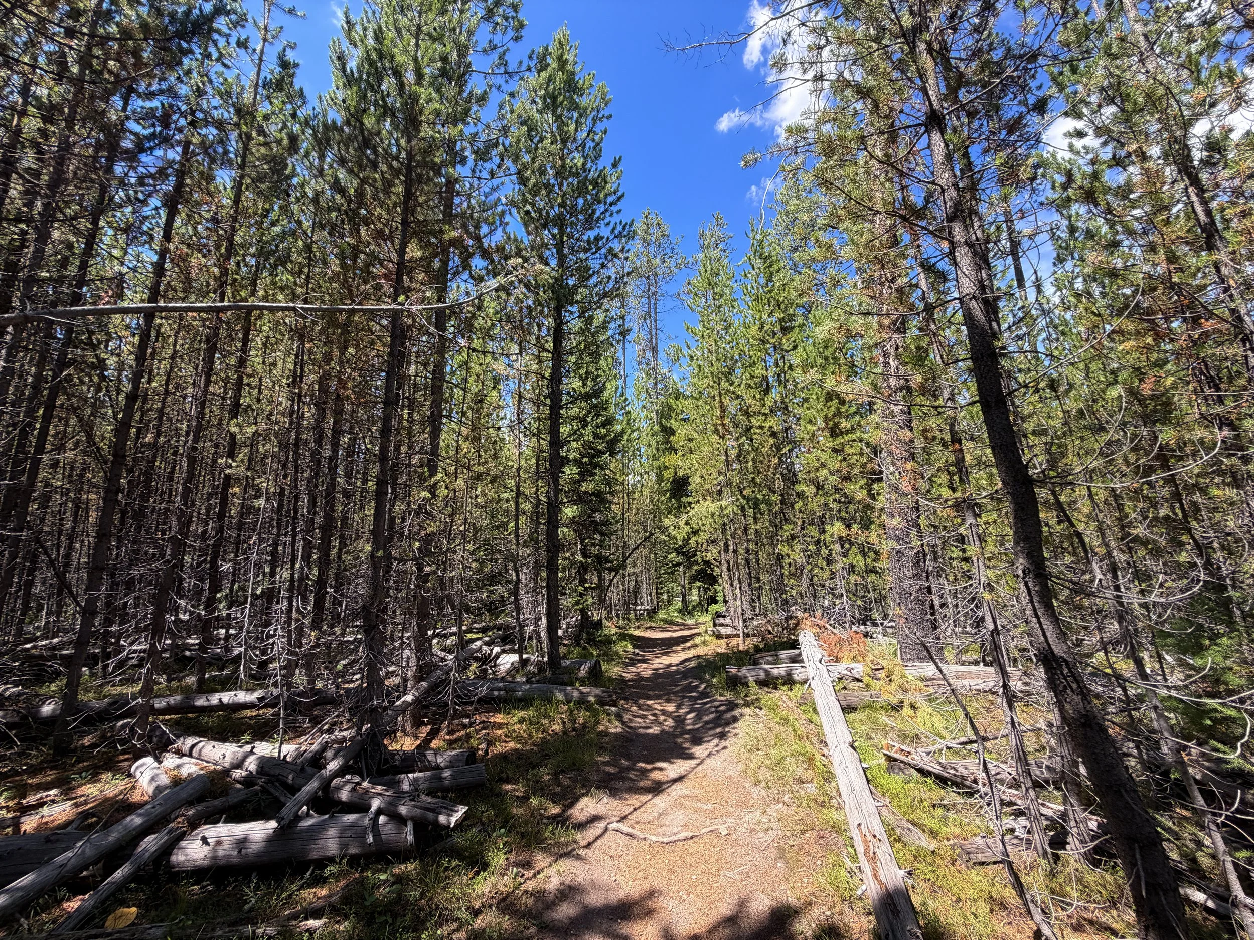 Yellowstone Lake Overlook Loop Trail Yellowstone National Park Wyoming