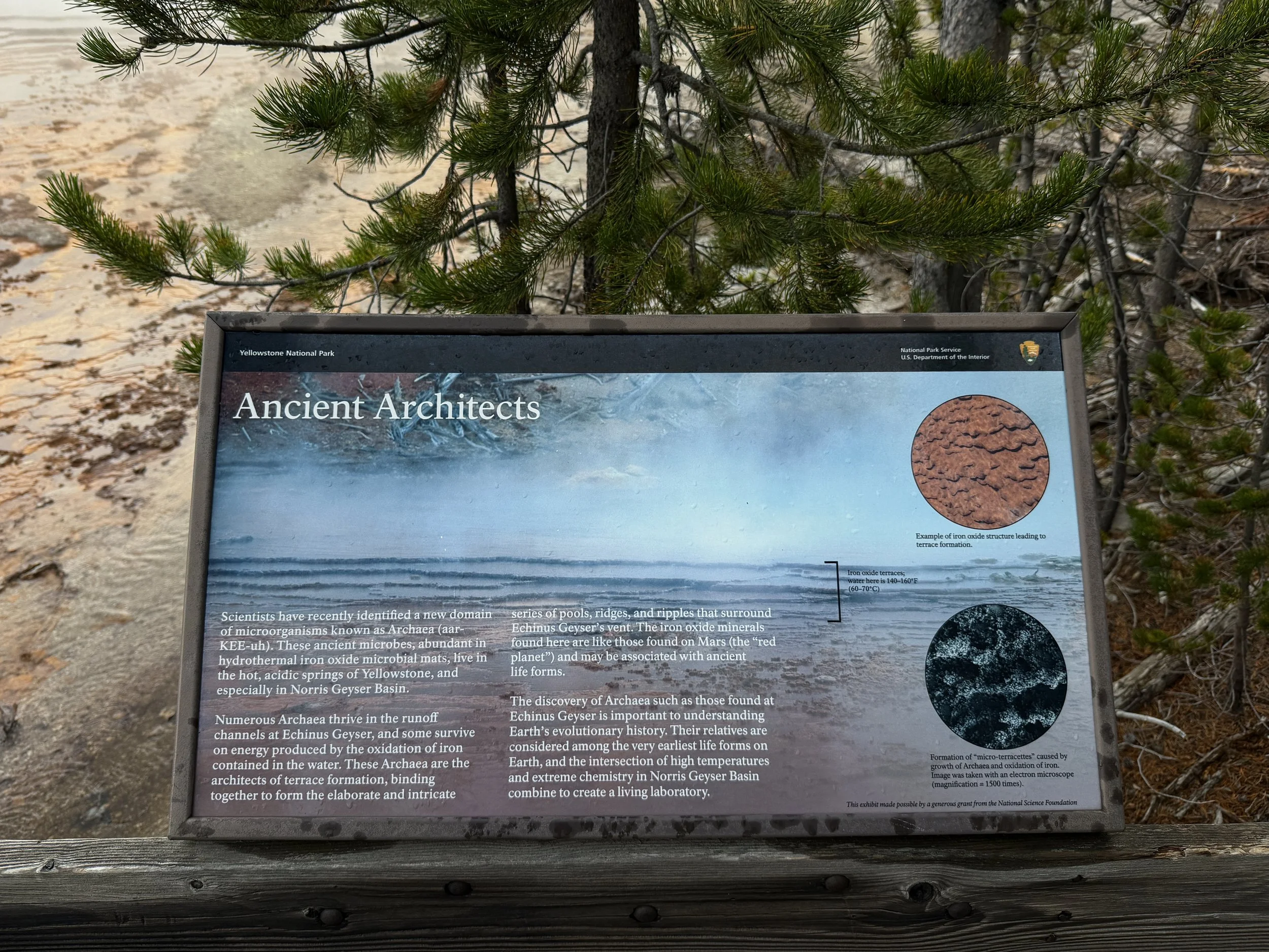 Norris Geyser Basin Trail Yellowstone National Park Wyoming