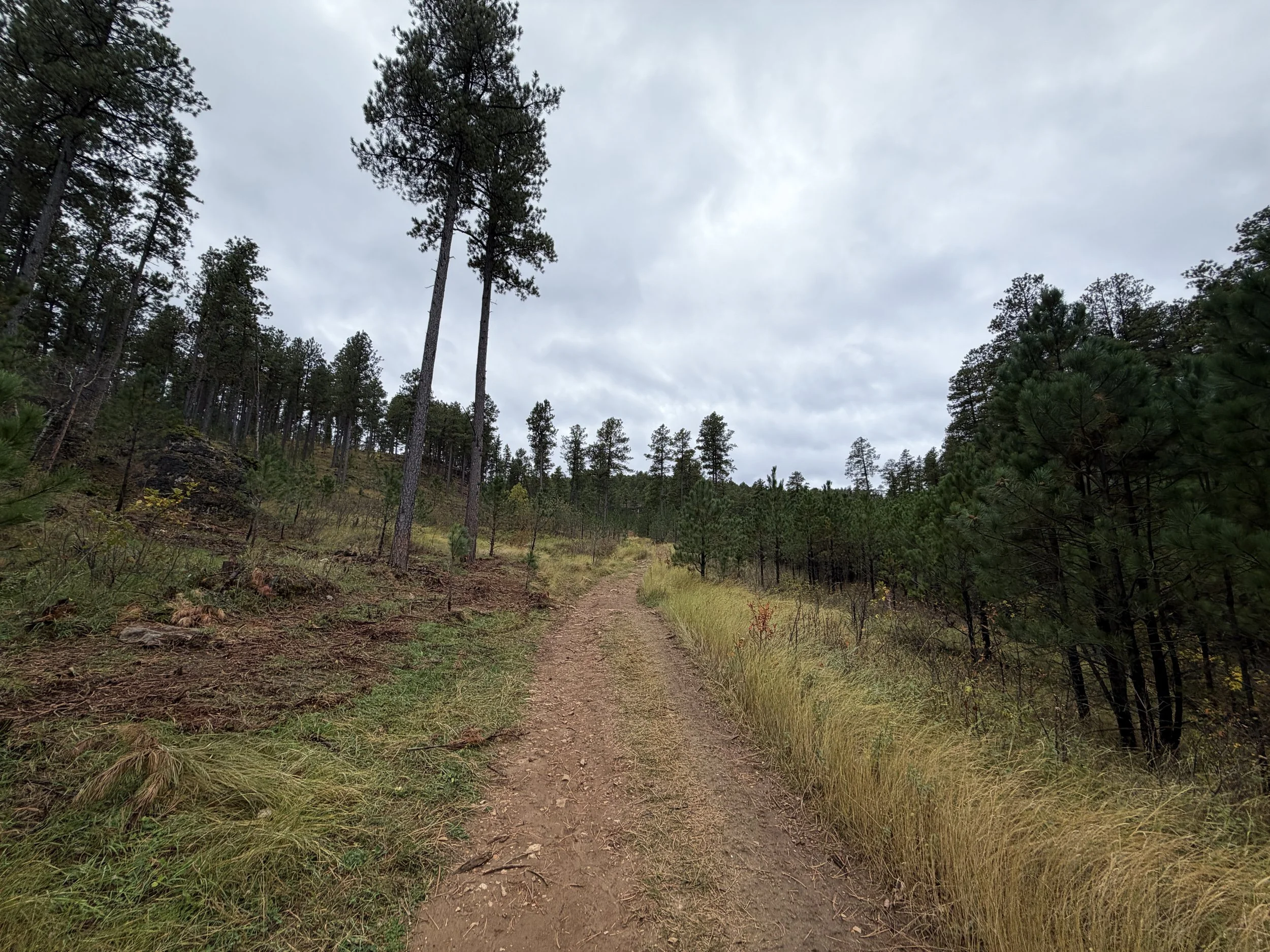 Buzzards Roost Trail Black Hills South Dakota