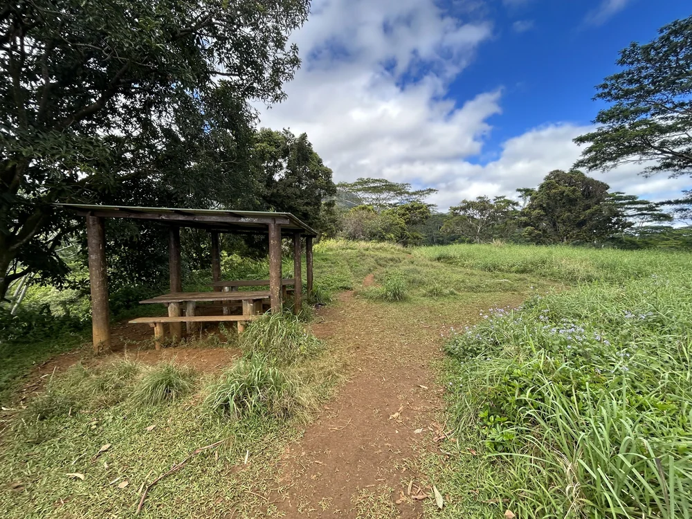 Hiking the Kuilau Ridge Trail on Kauaʻi, Hawaiʻi — noahawaii