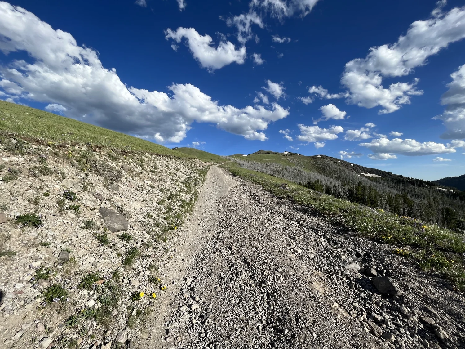 Hiking Mt. Washburn via Chittenden Road in Yellowstone National Park