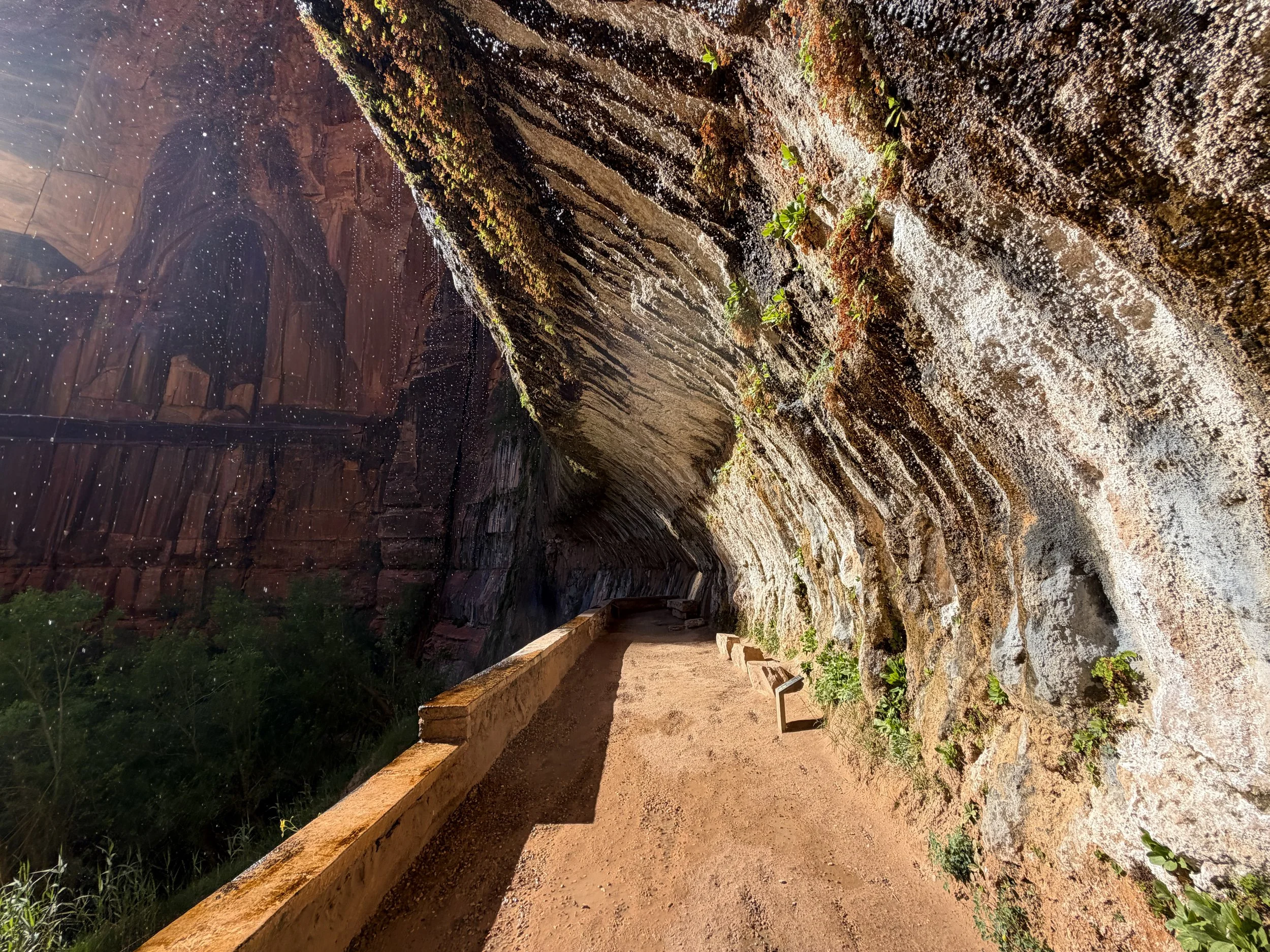 Weeping Rock Zion National Park Utah