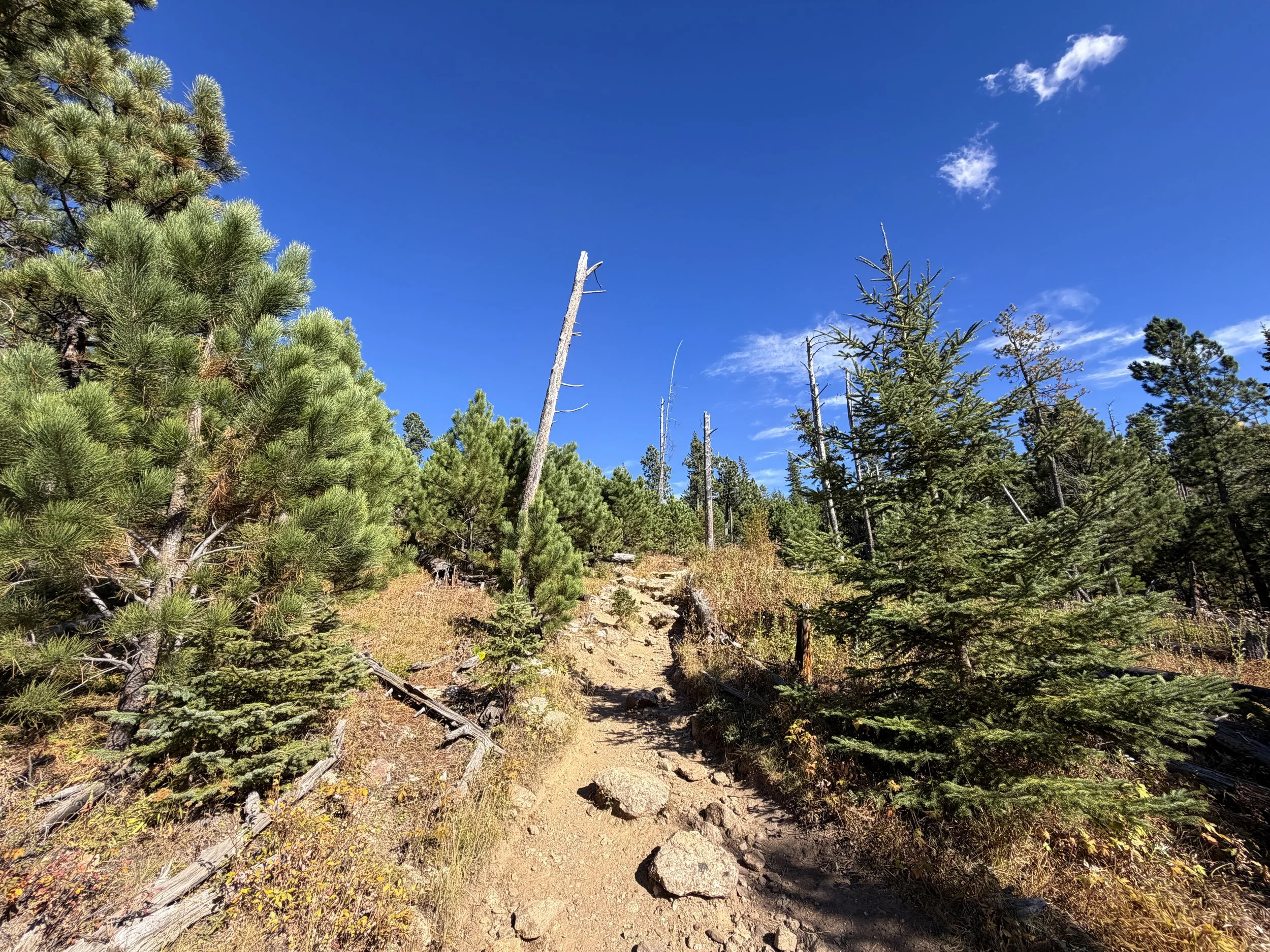 Black Elk Peak Trail to Harney Peak Lookout Black Hills South Dakota
