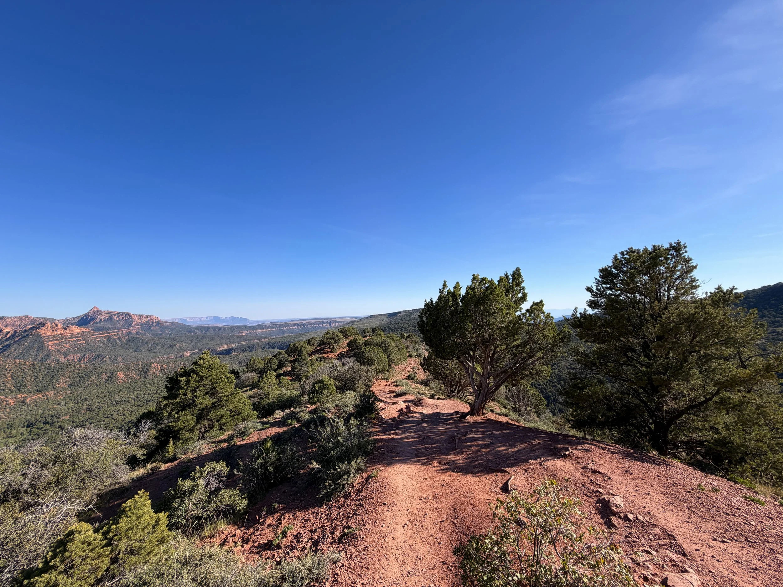 Timber Creek Overlook Trail Zion National Park Utah