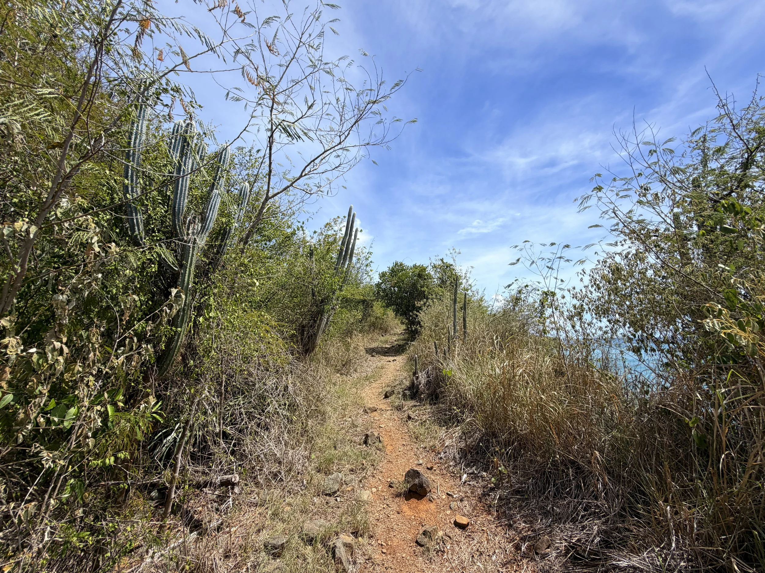 Yawzi Point Trail Virgin Islands National Park