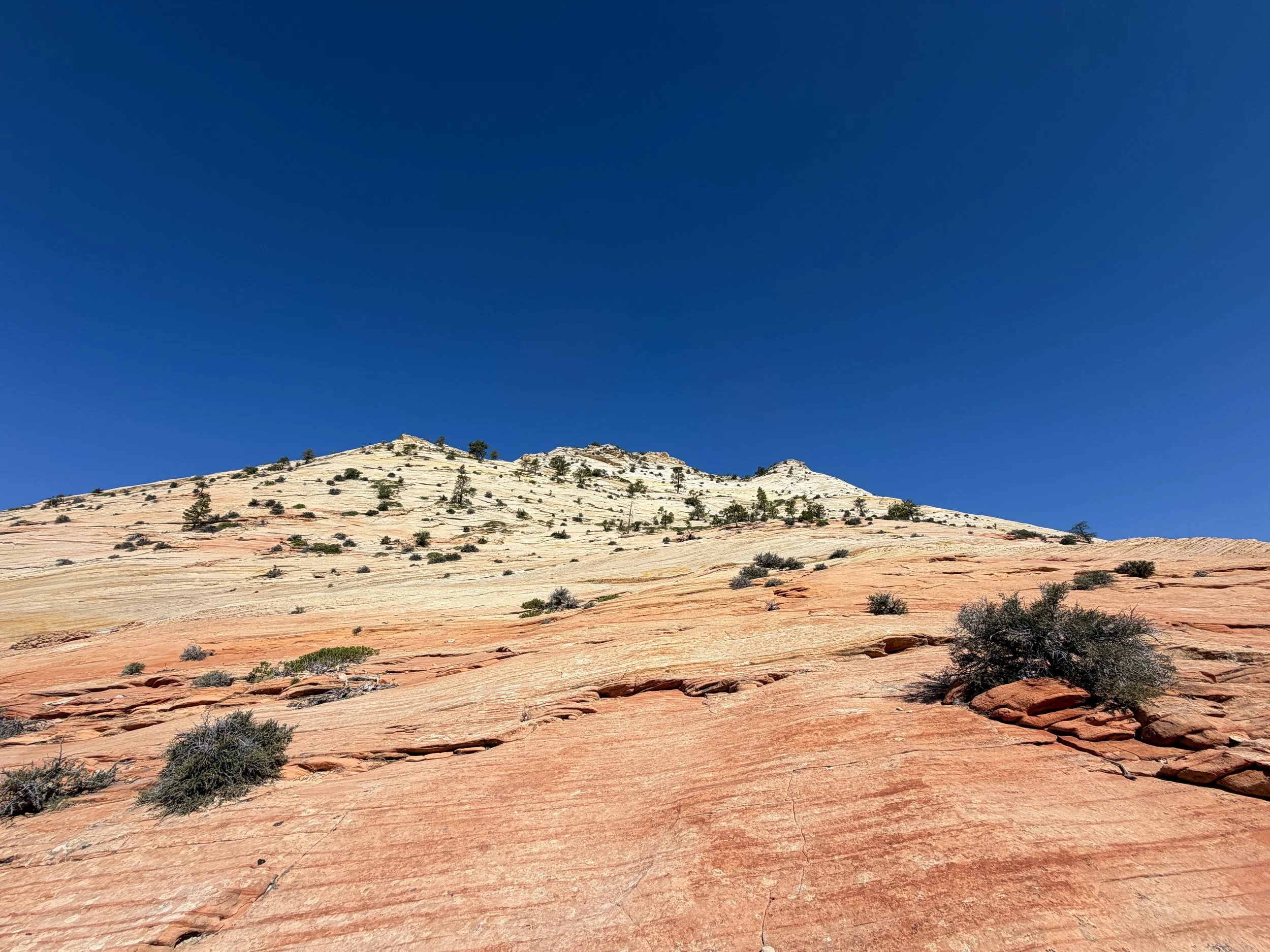 South Ariel Peak Trail Zion National Park Utah
