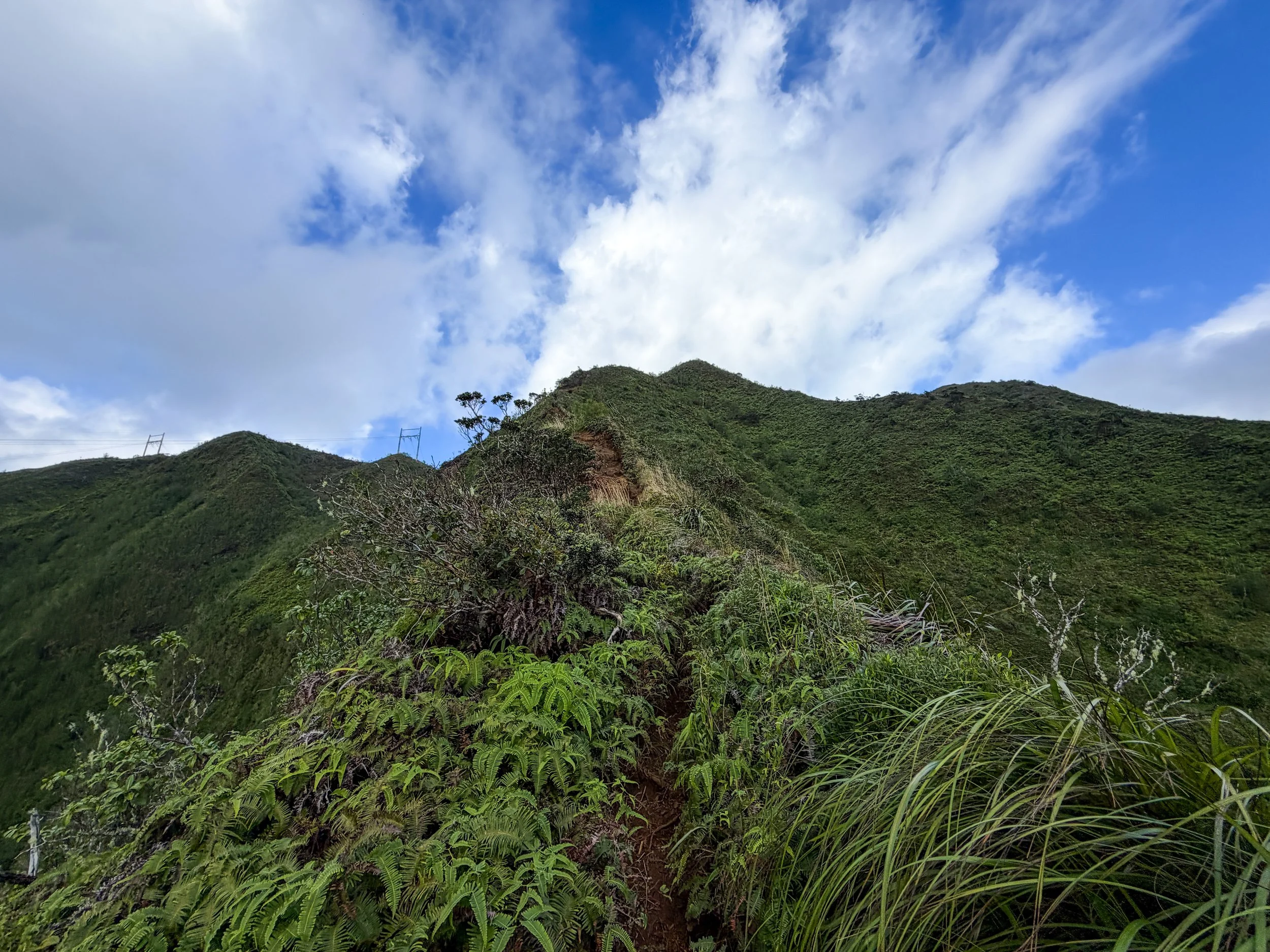 Kaau Crater Trail Oahu Hawaii