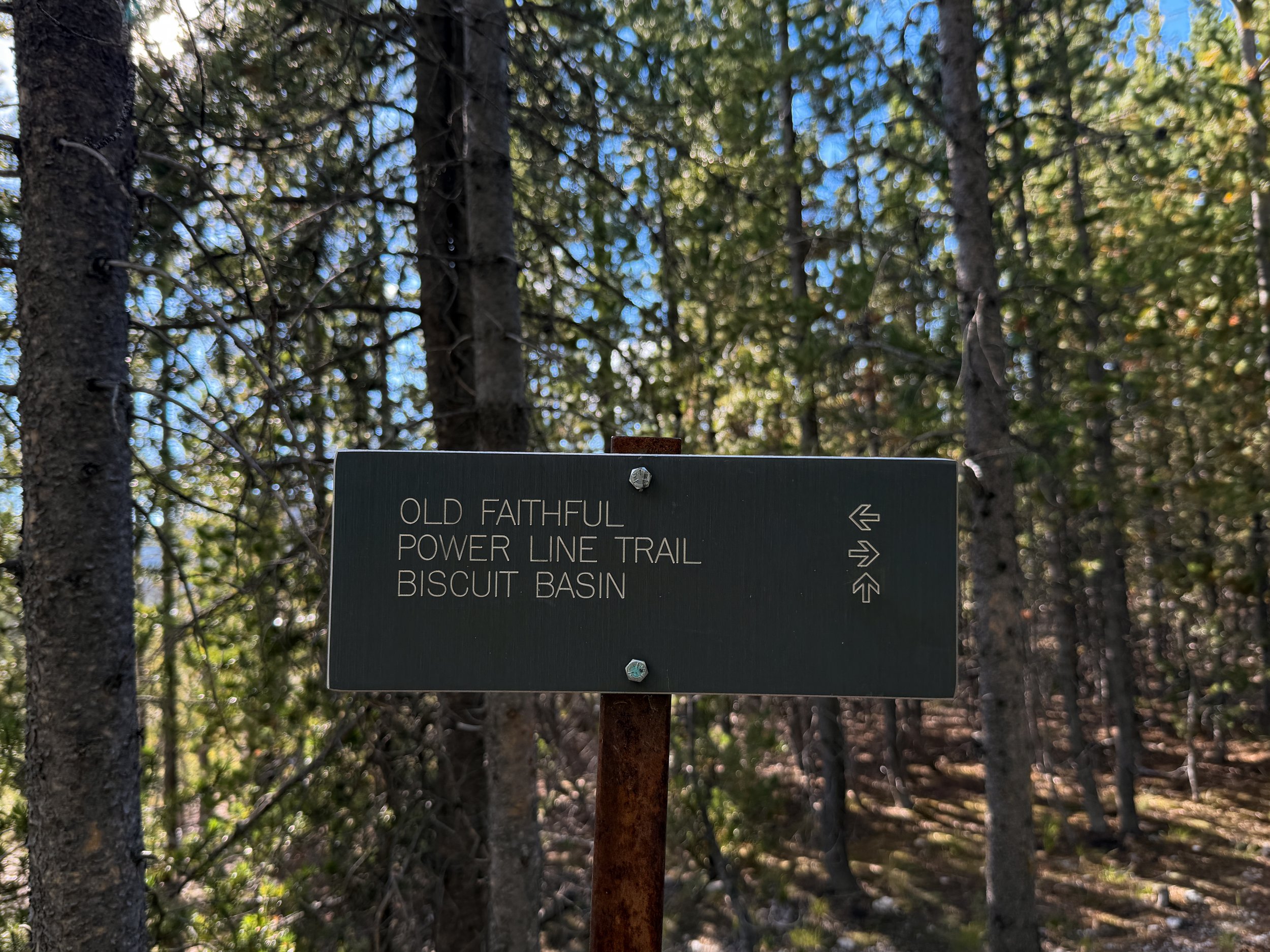 Artemisia Trail Yellowstone National Park Wyoming