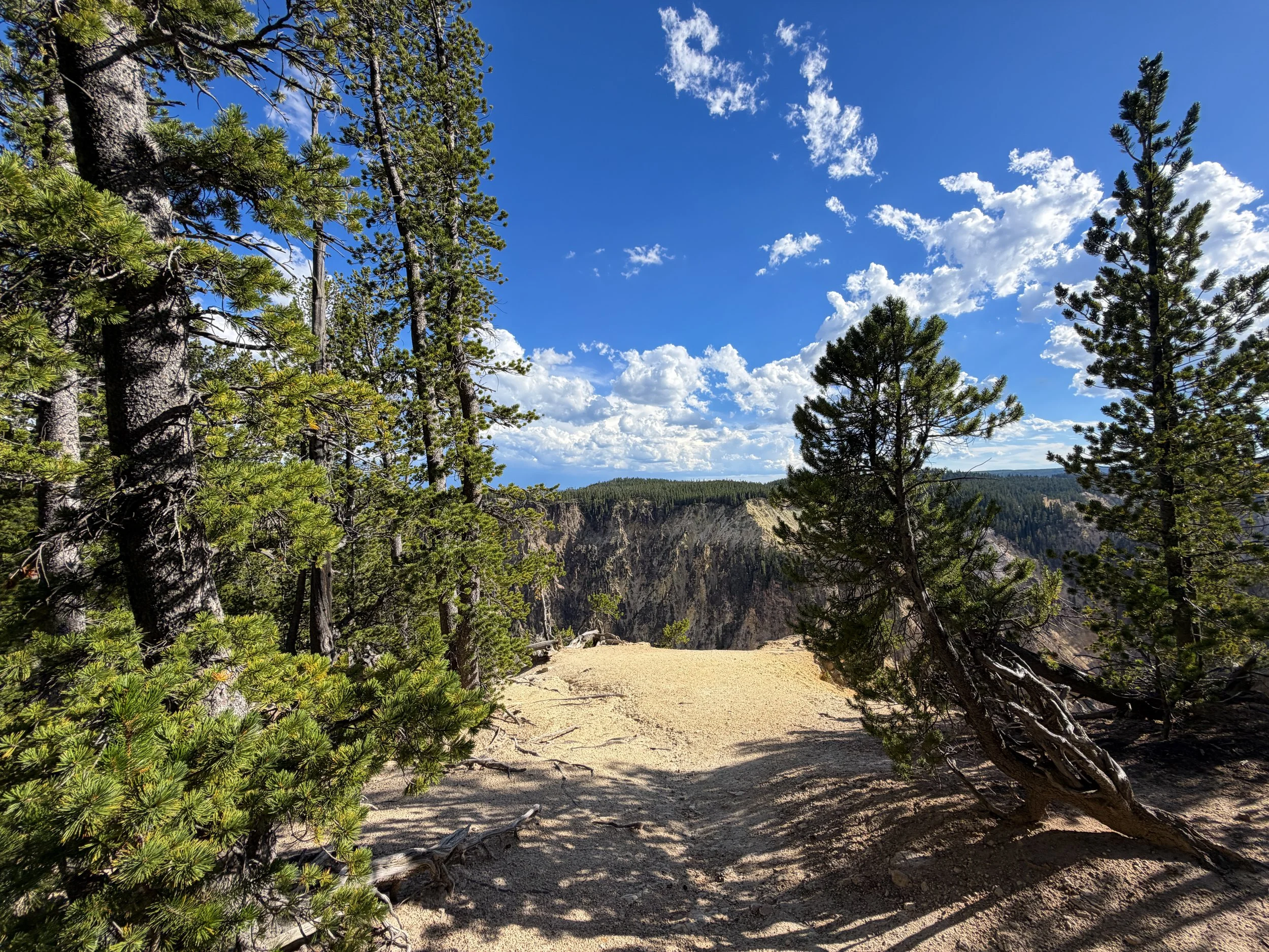 North Rim Trail Yellowstone National Park Wyoming