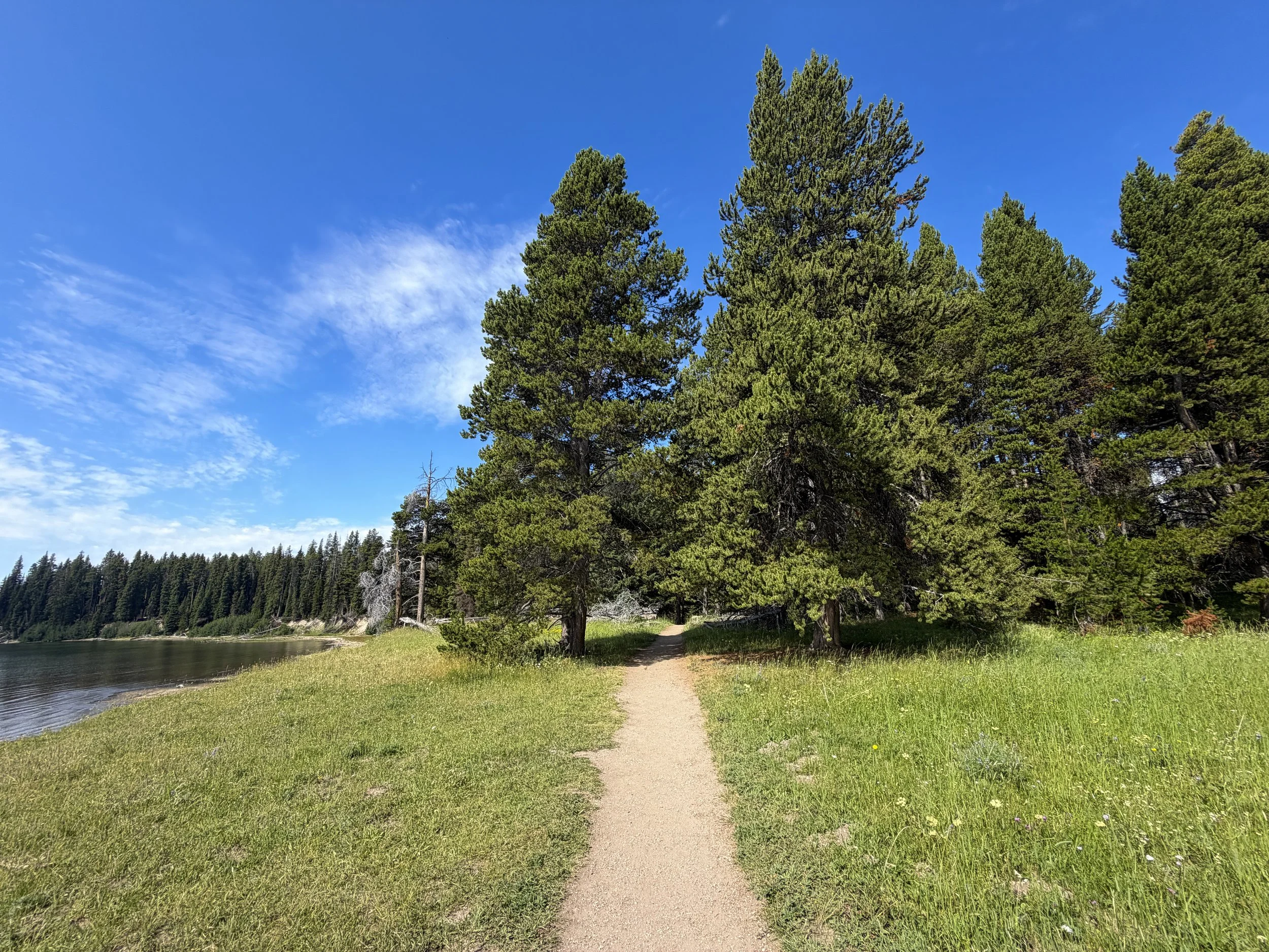Storm Point Trail Yellowstone National Park Wyoming